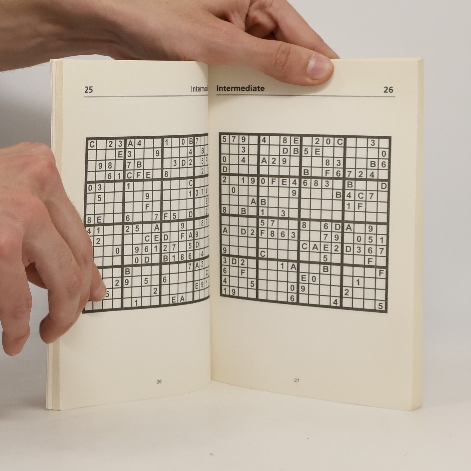 Hazel Norris The Independent Book of Super Sudoku