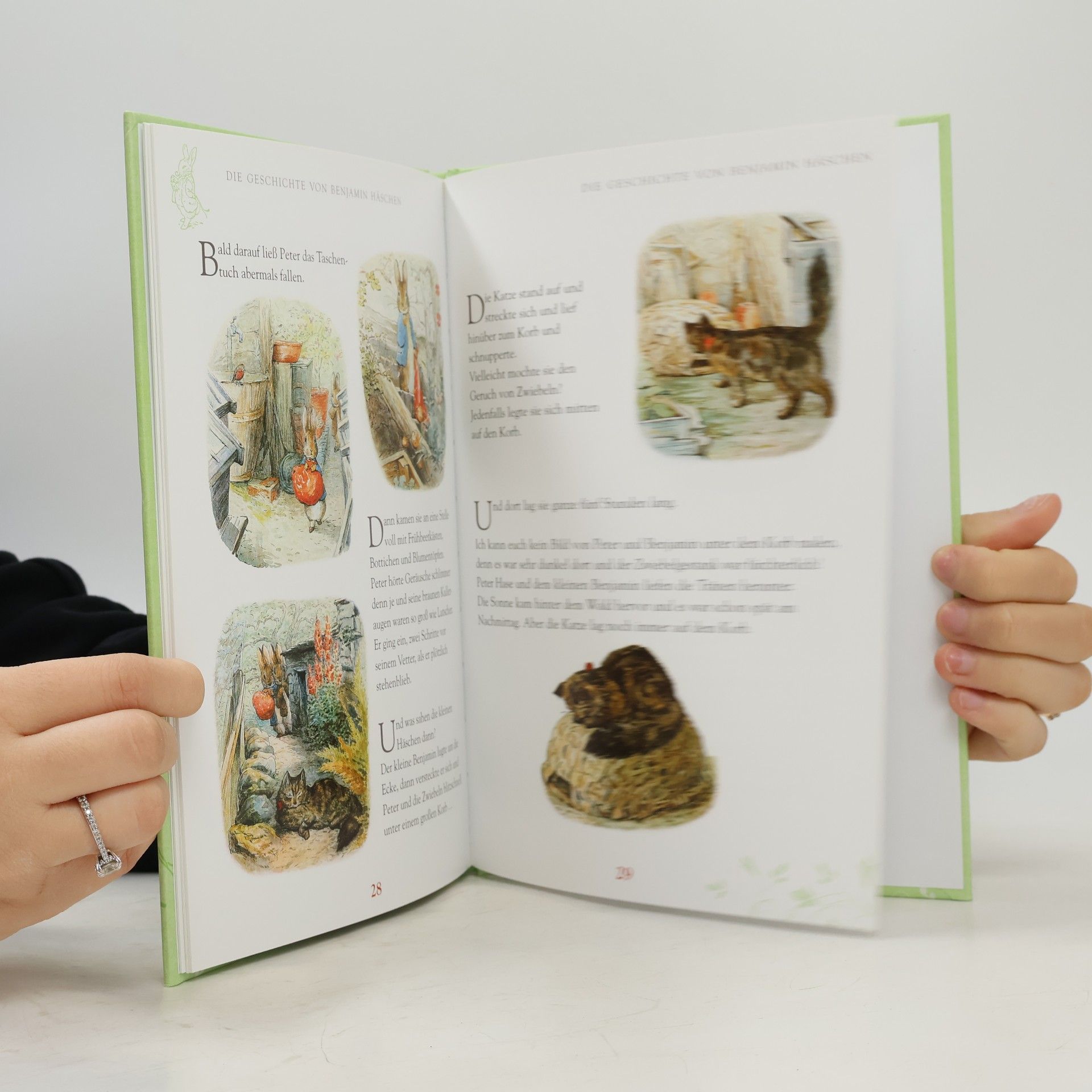 Beatrix Potter Peter Hase
