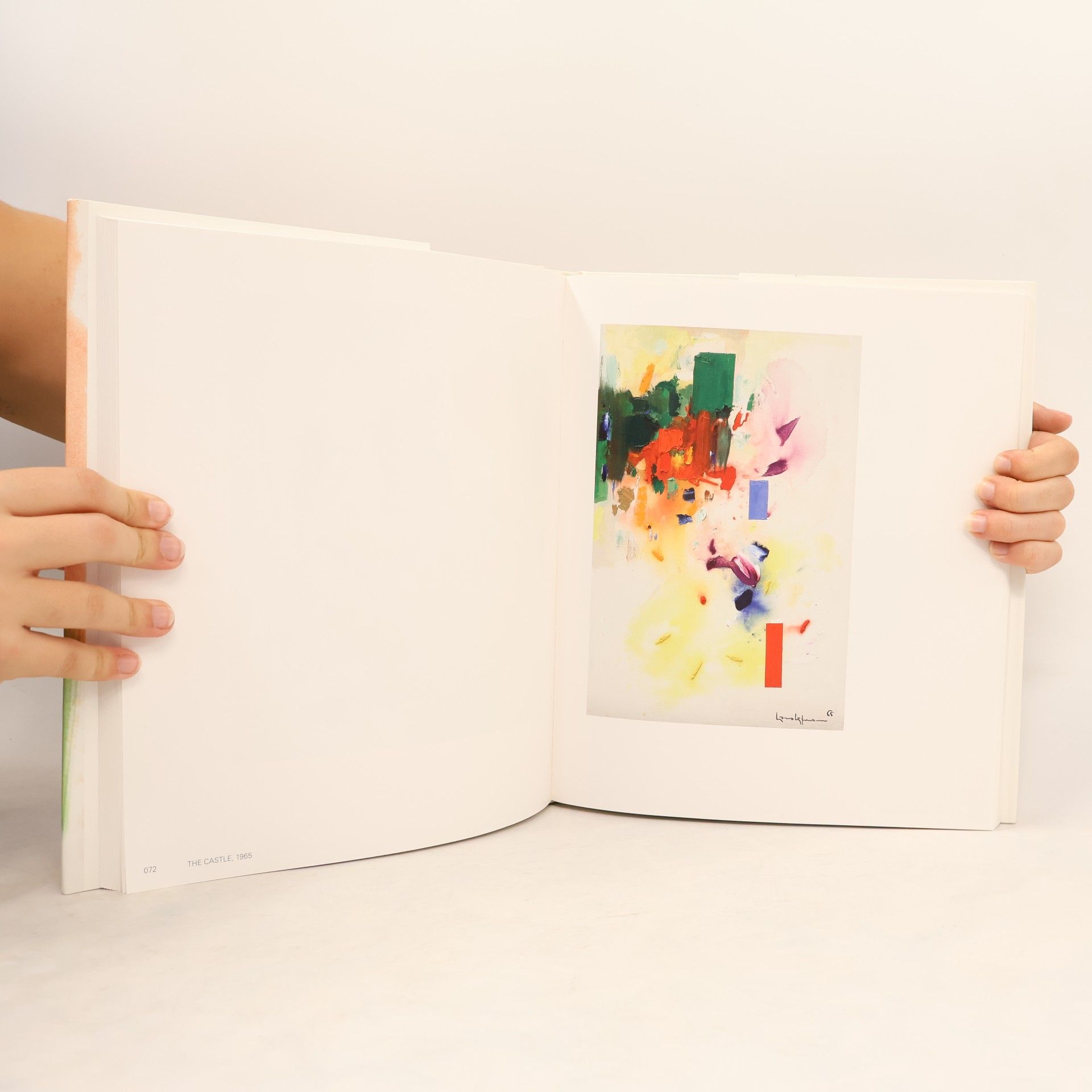Hans Hofmann Creation in form and color: Hans Hofmann