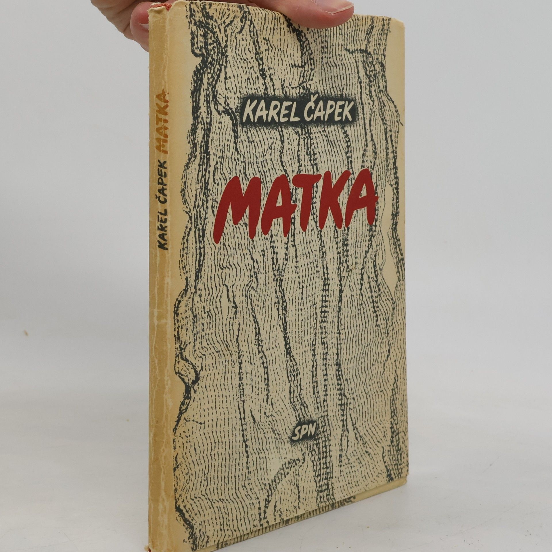 Karel Čapek Matka