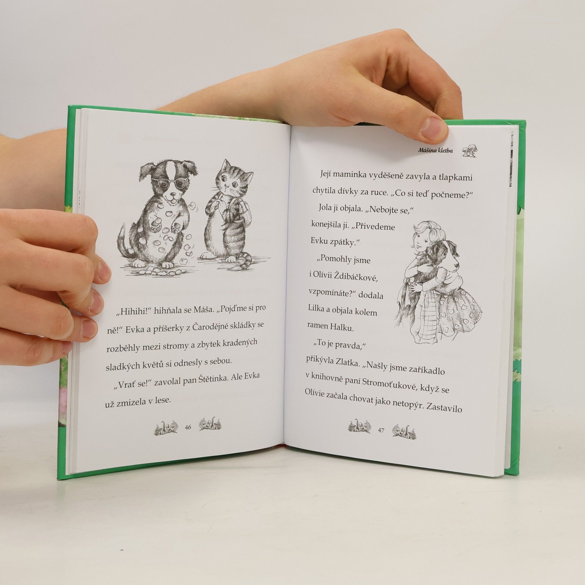 Daisy Meadows Velké překvapení Evky Štětinkové. Kamarádky kouzelných zvířátek