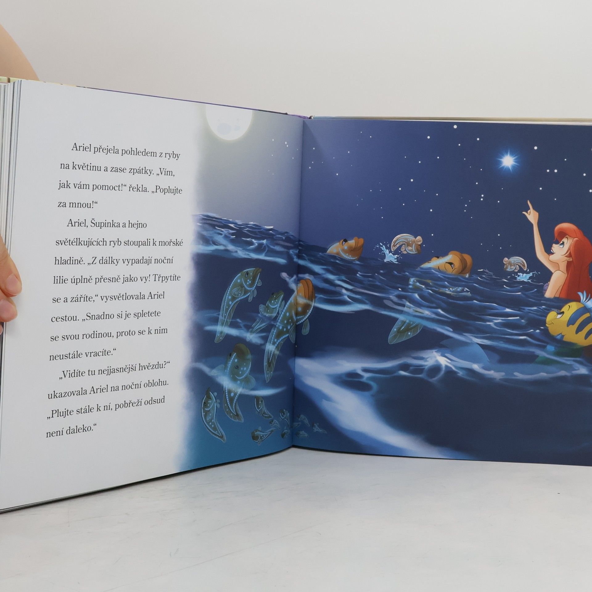 Walt Disney Dobrou noc, princezny