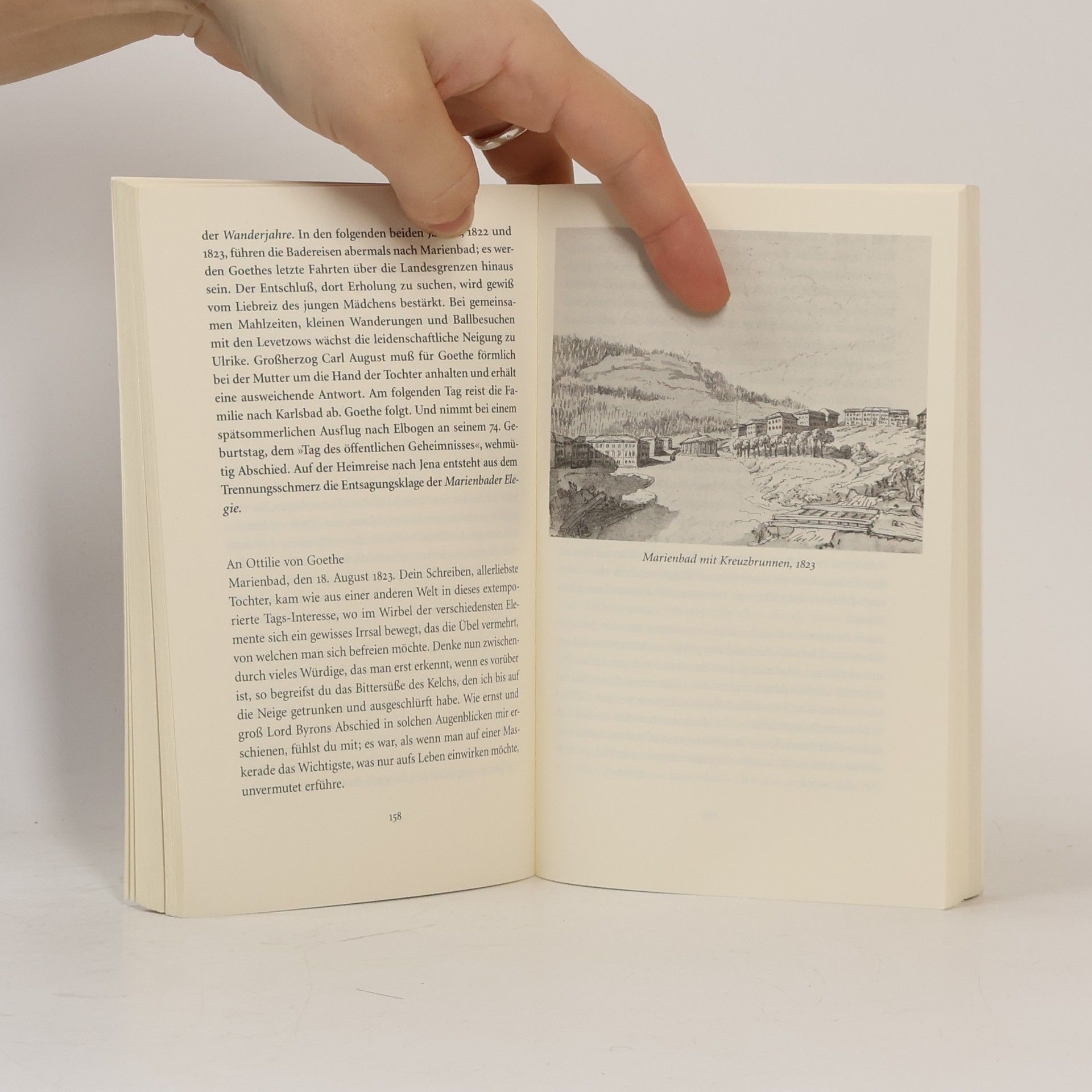 Arnd Rühle Insel Taschenbuch - 3250: Mit Goethe reisen