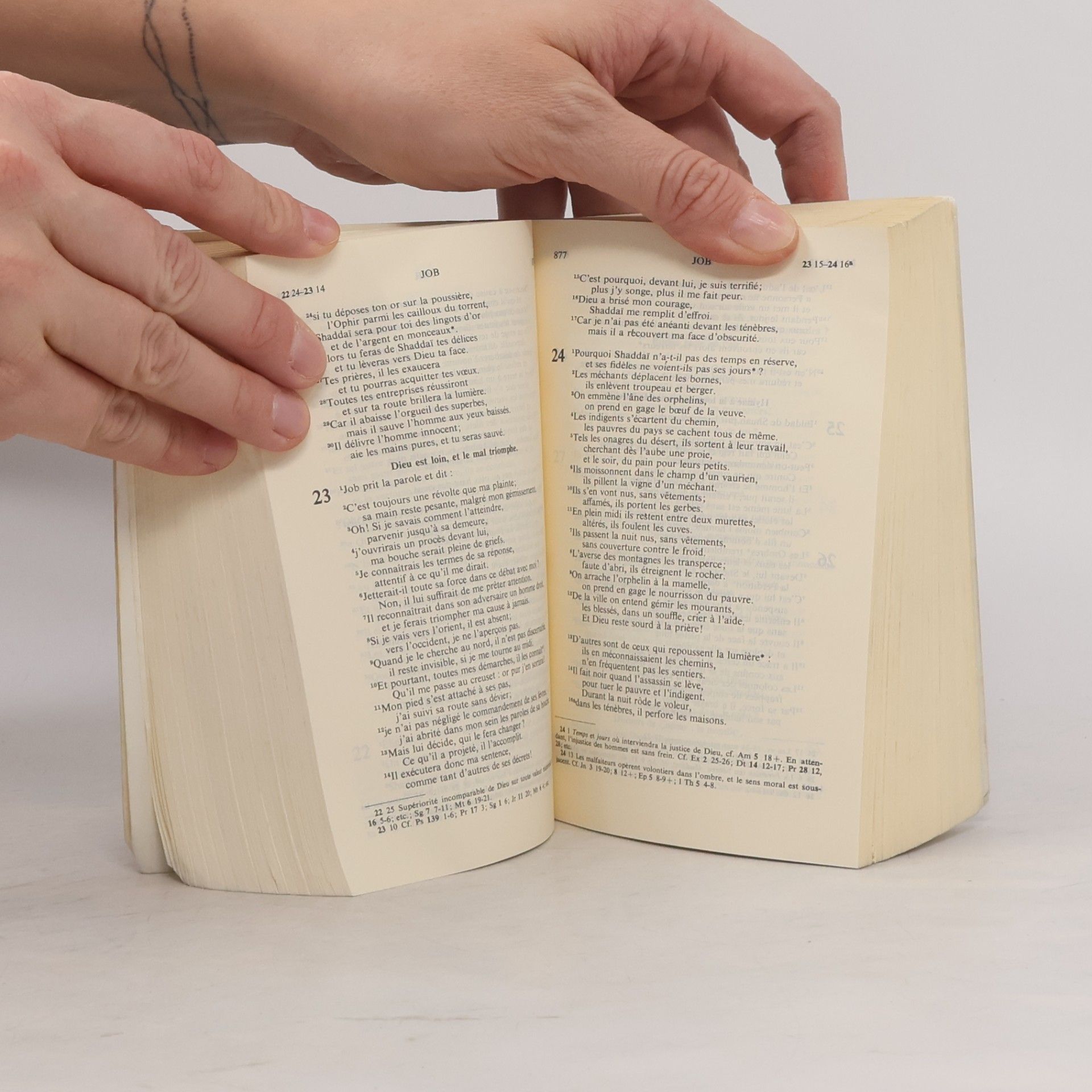 Autorenkollektiv La Bible de Jérusalem