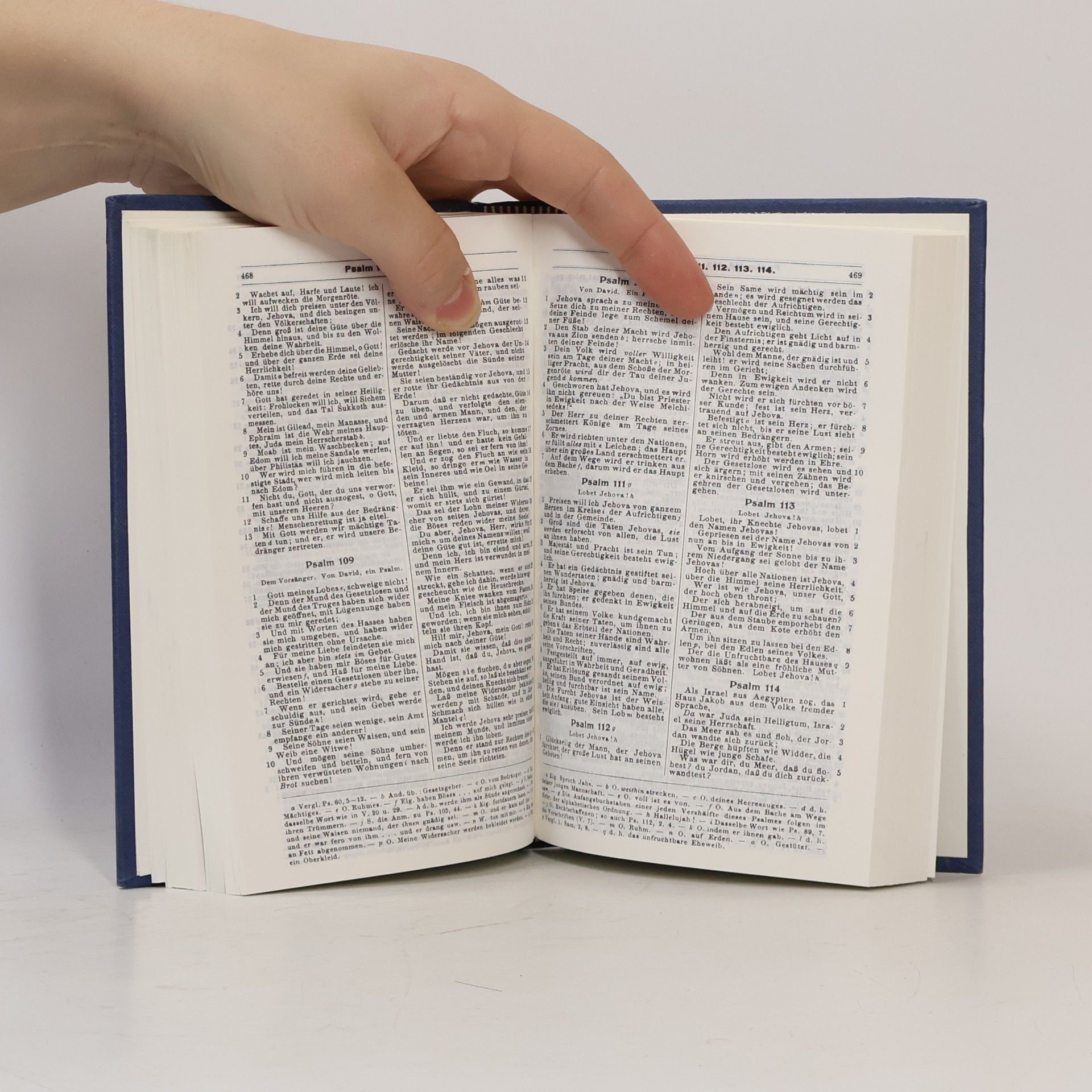 Collectif d'auteurs Die Bibel