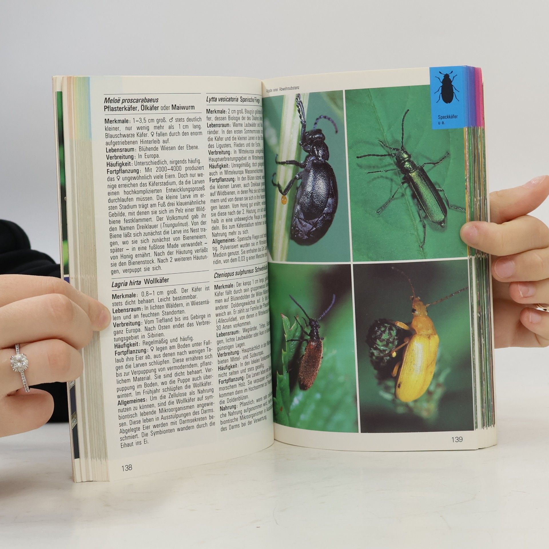 Helgard Reichholf Riehm Insekten