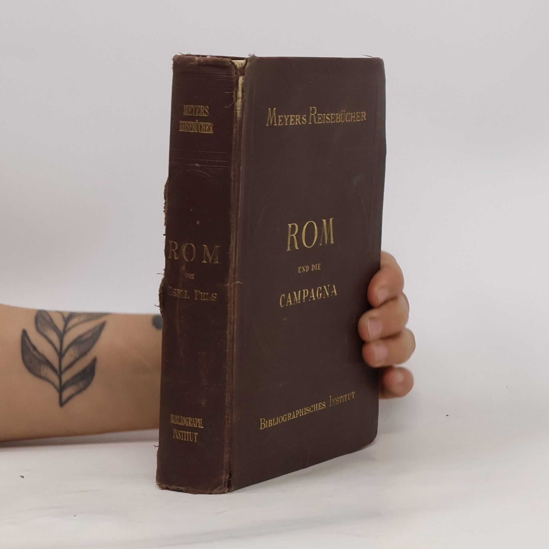 Dr. Th. Gsell Fels Rom und die Campagna