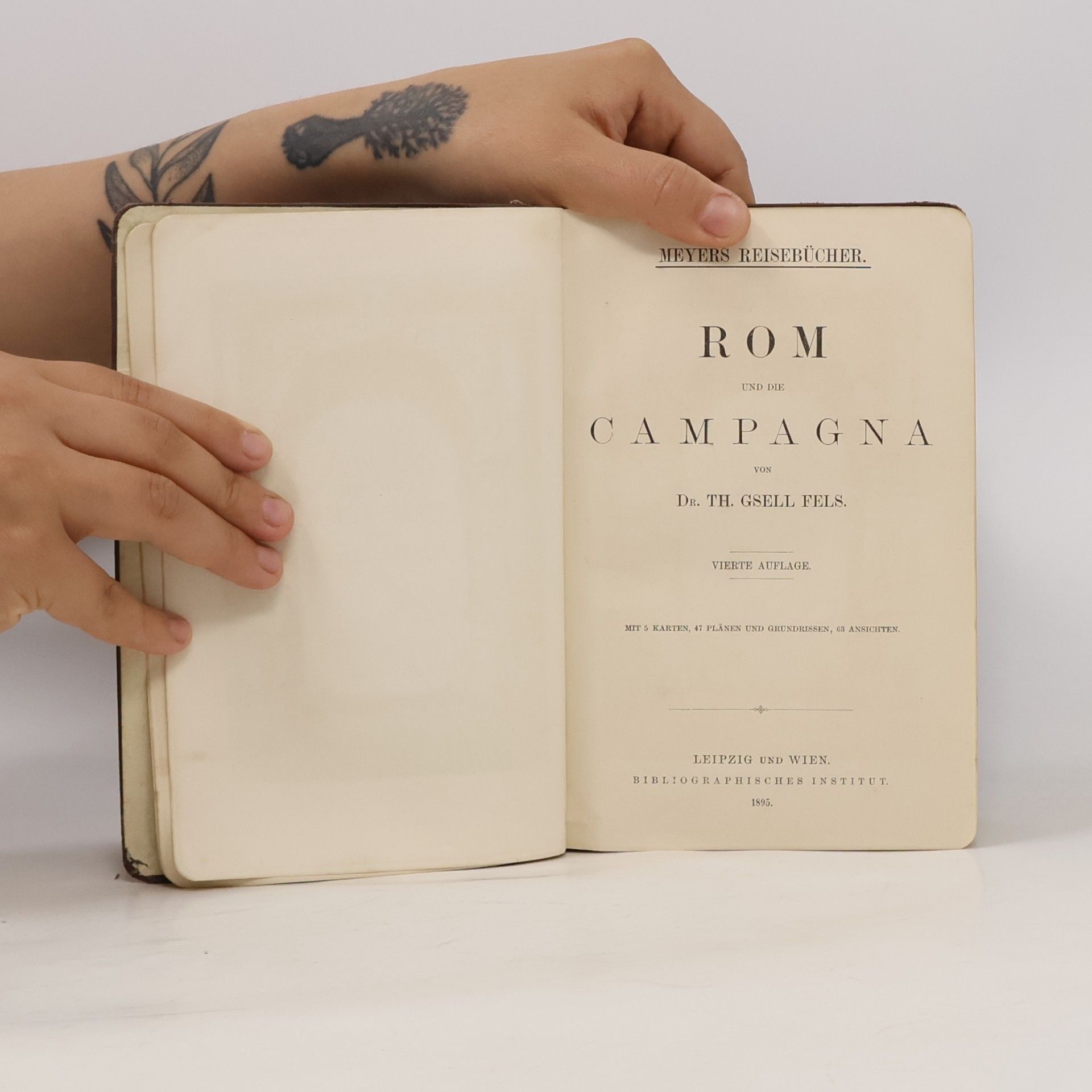 Dr. Th. Gsell Fels Rom und die Campagna