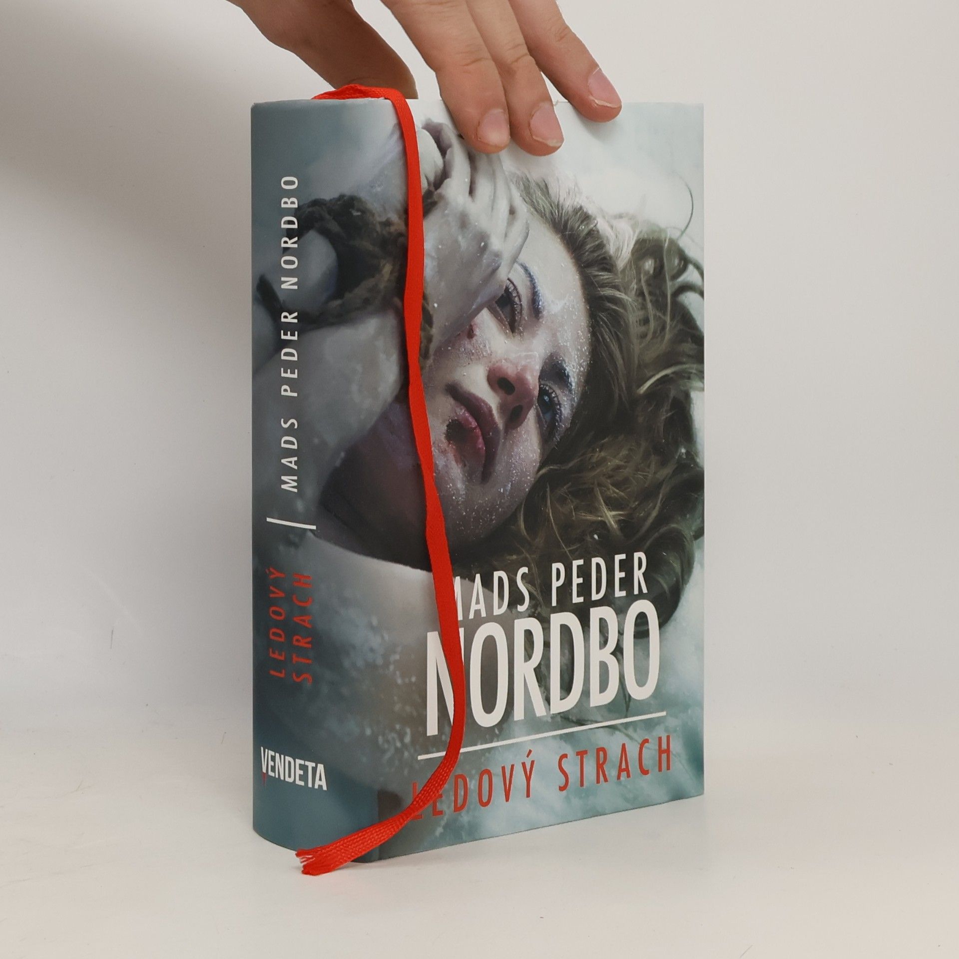 Mads Peder Nordbo Ledový strach