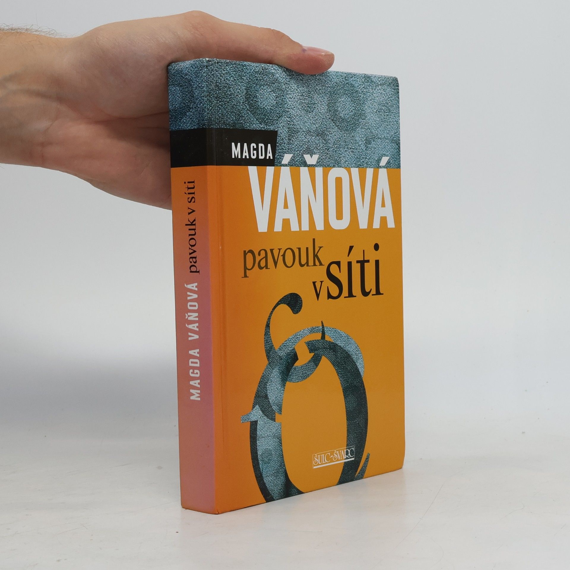 Magda Váňová Pavouk v síti