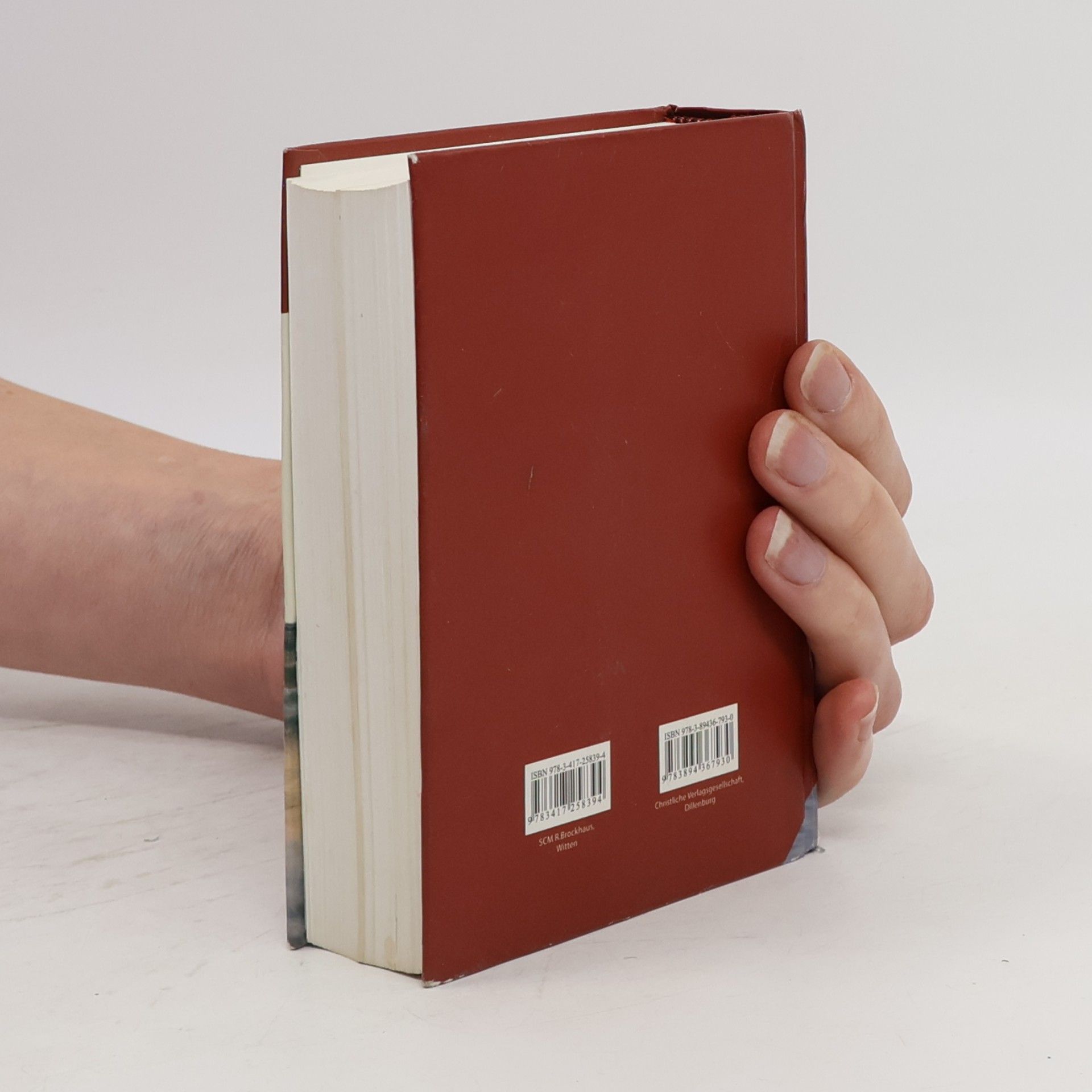 Elberfelder Bibel - Senfkornausgabe Motiv 'Steg'