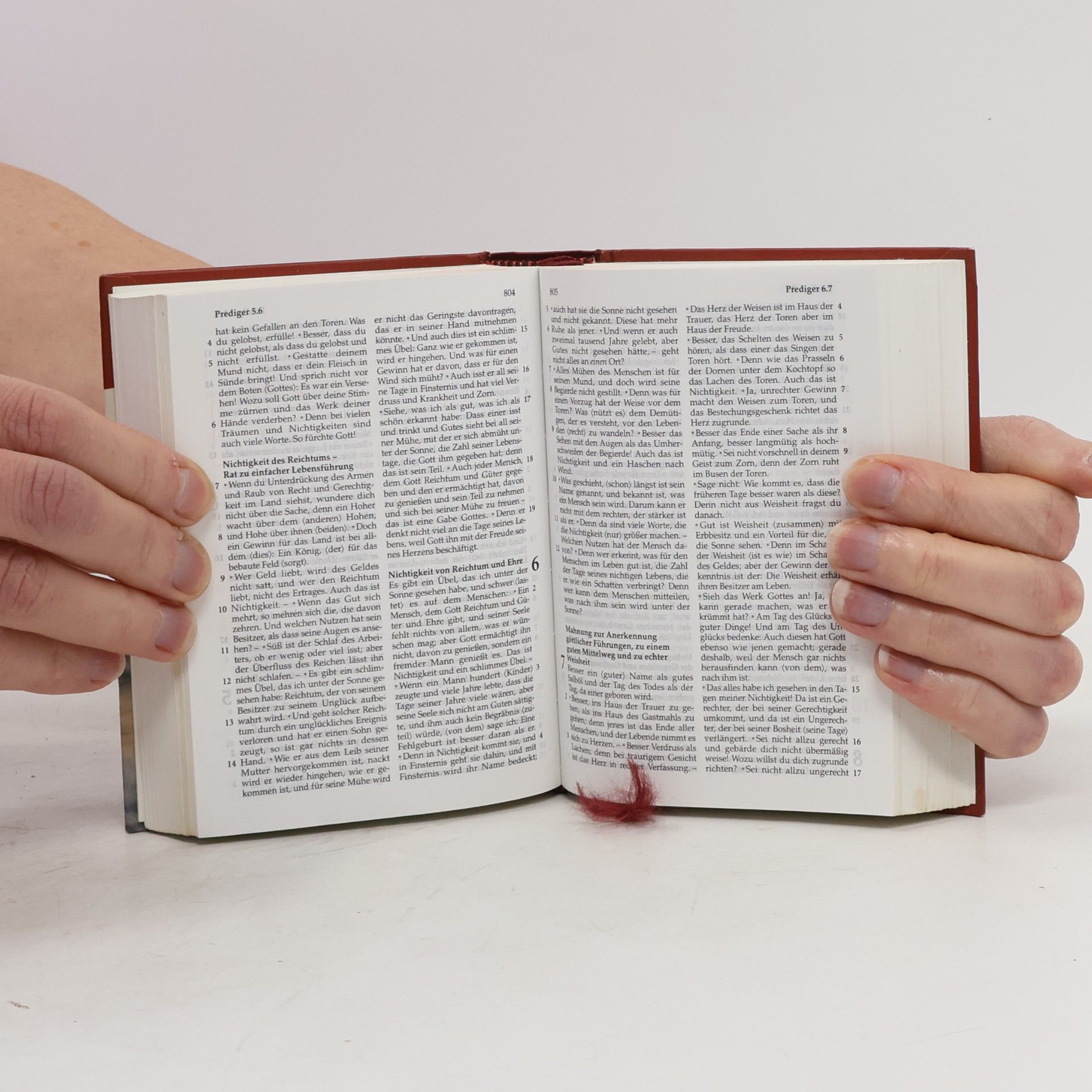 Elberfelder Bibel - Senfkornausgabe Motiv 'Steg'