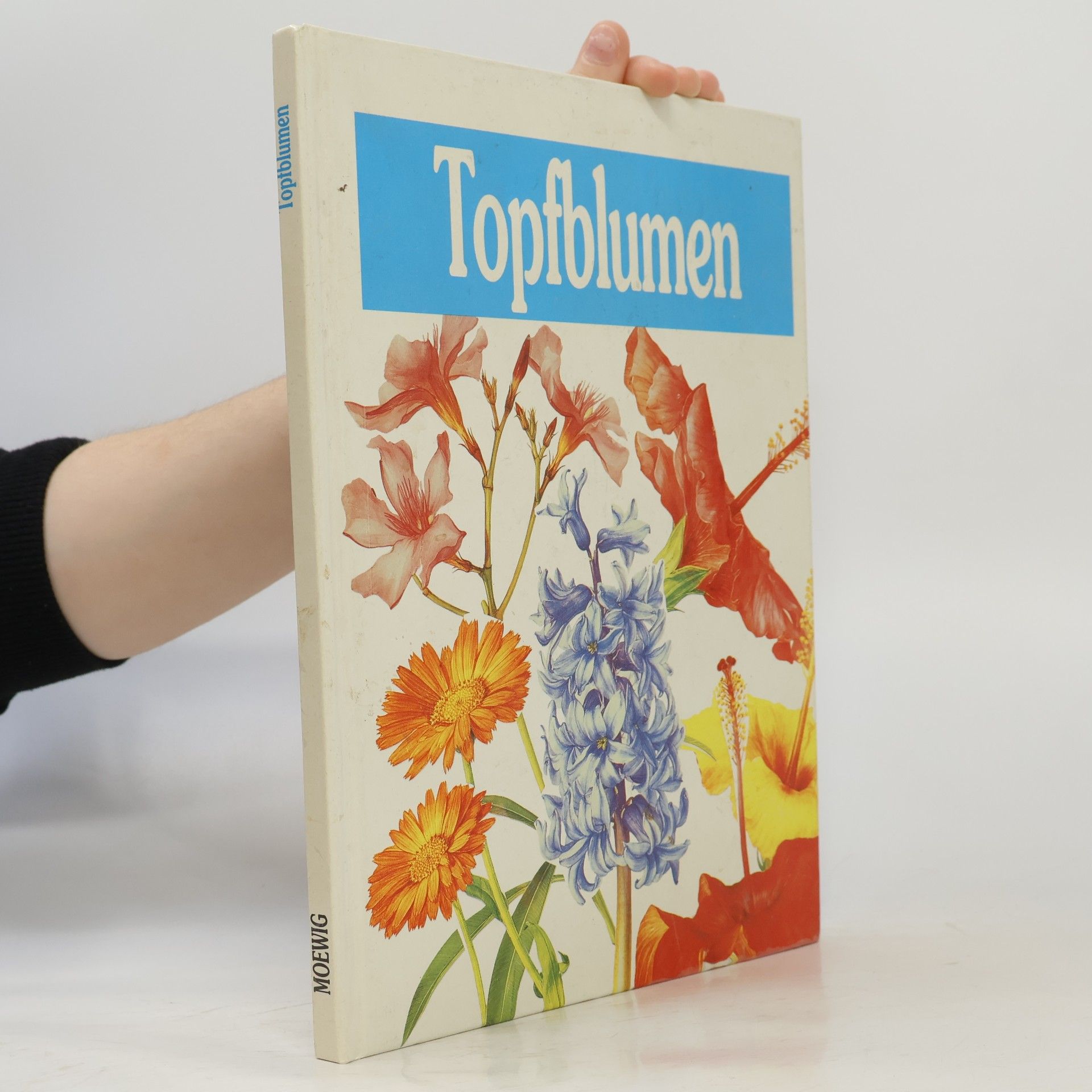 Doris Gottwald Topfblumen