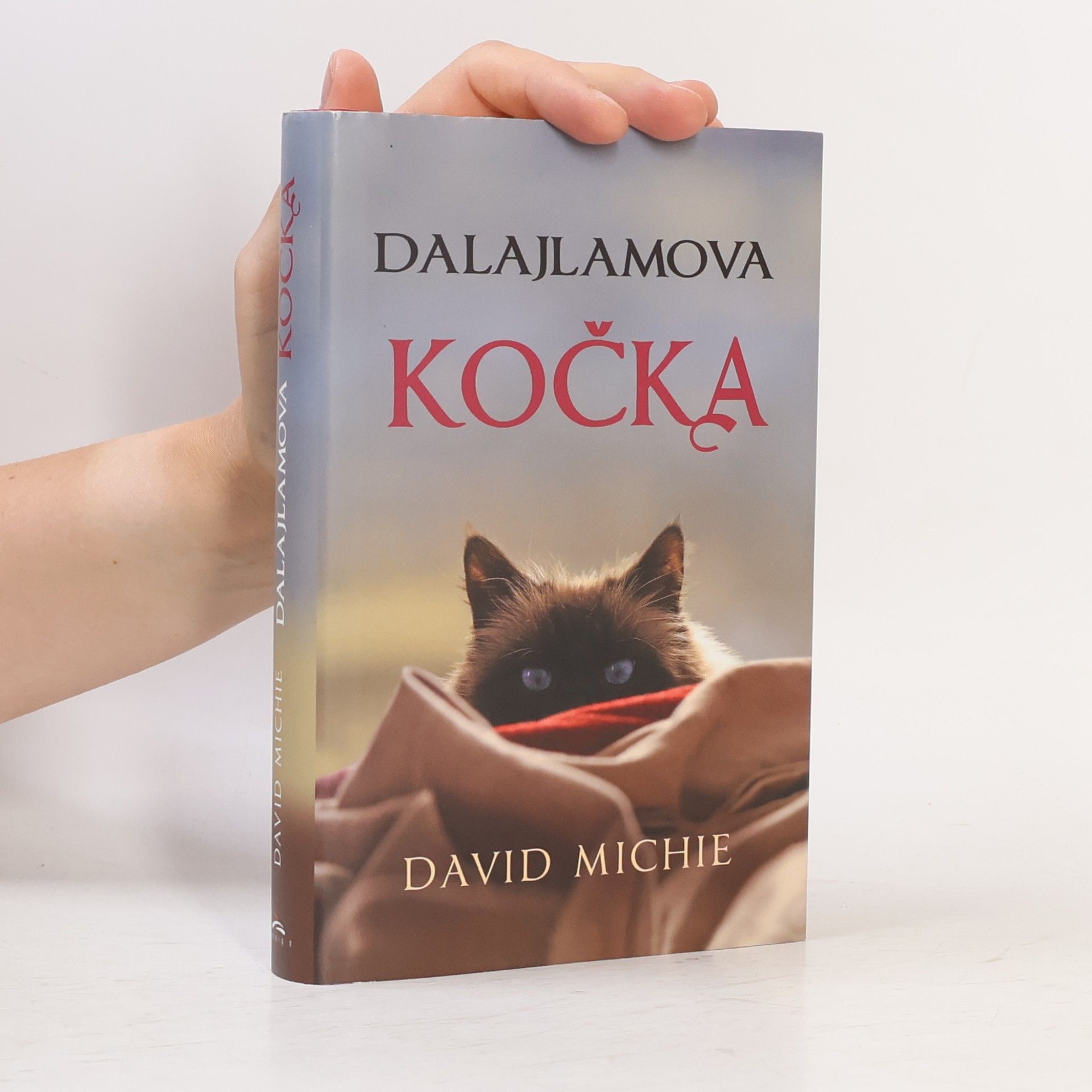David Michie Dalajlamova kočka