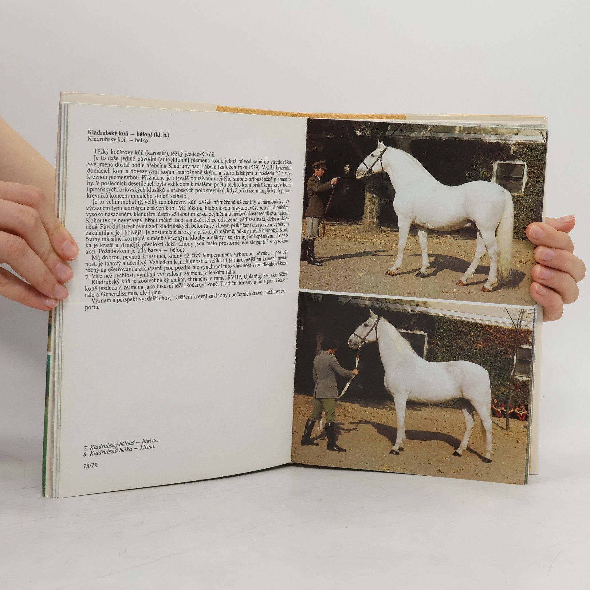 František Burda Atlas plemen hospodářských zvířat