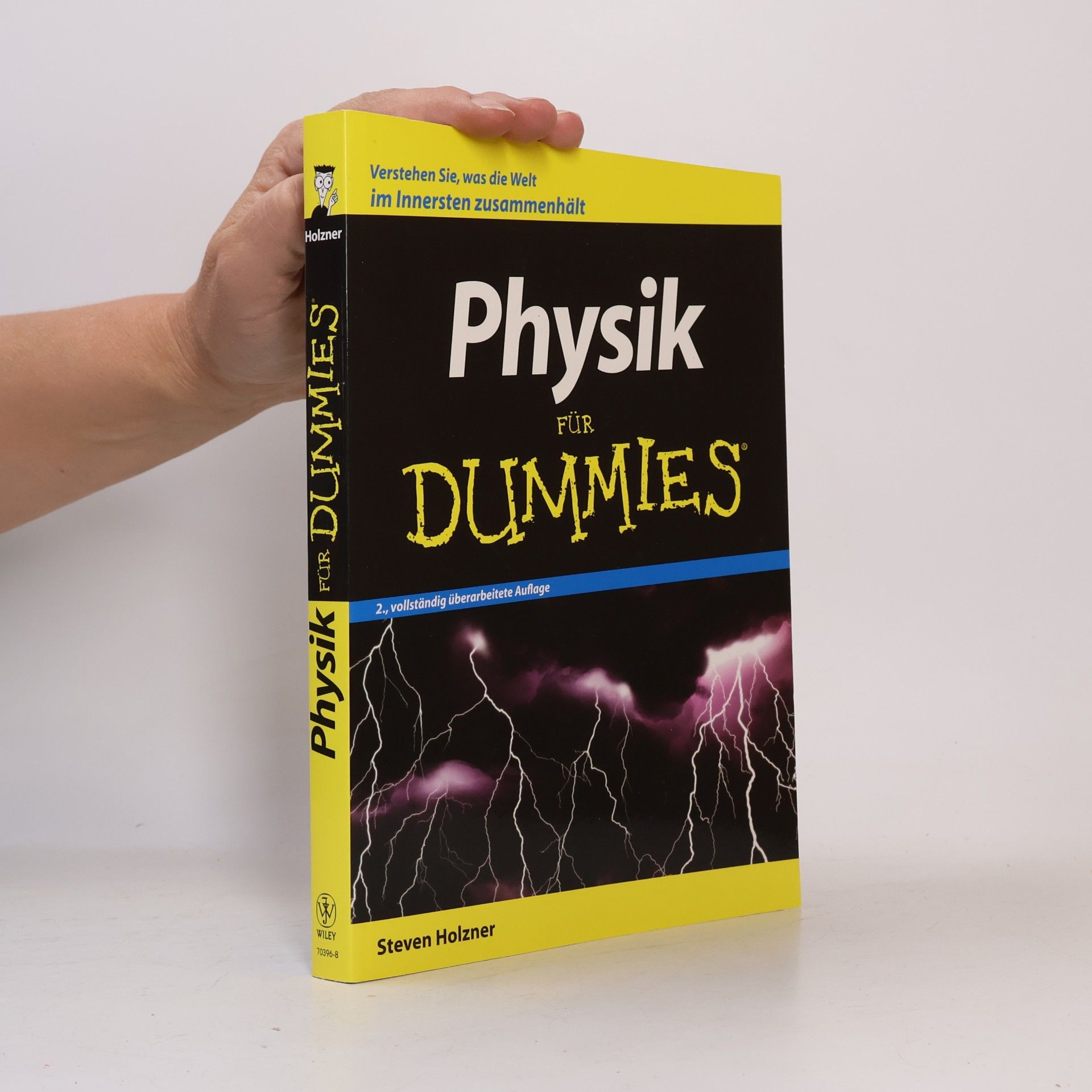 Steven Holzner Physik für Dummies