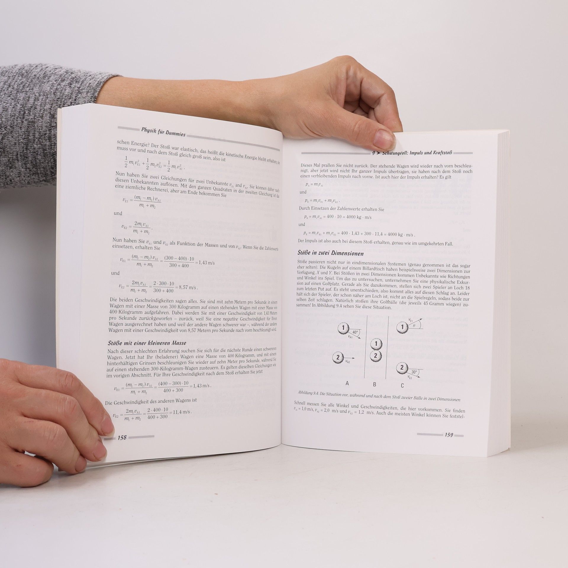 Steven Holzner Physik für Dummies