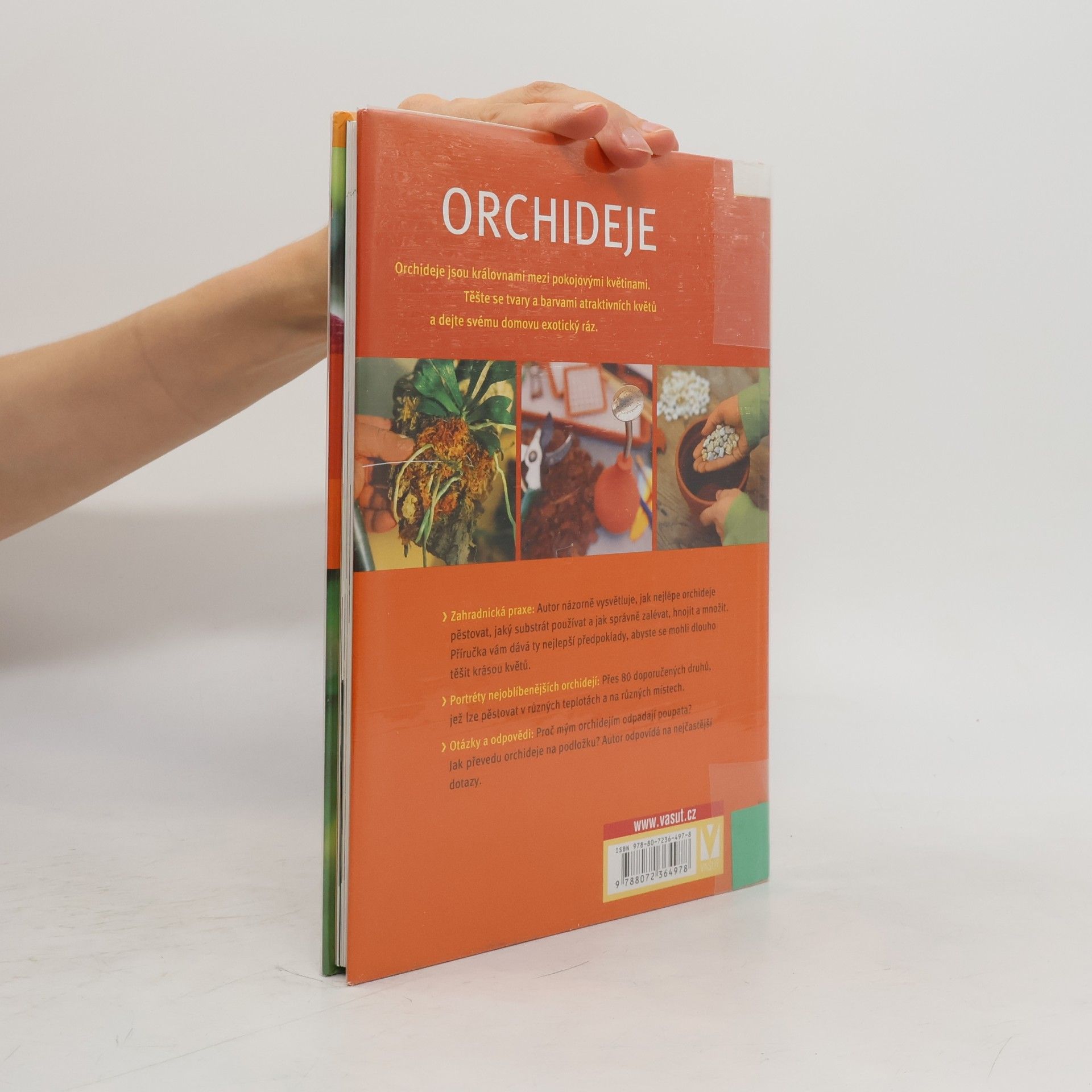 Frank Rolke Orchideje
