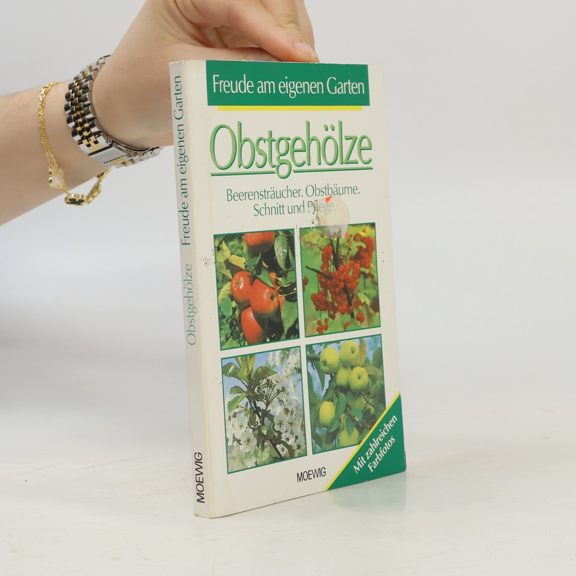Autorenkollektiv Obstgehölze. Beerensträucher. Obsthilume Schnitt und Pflege