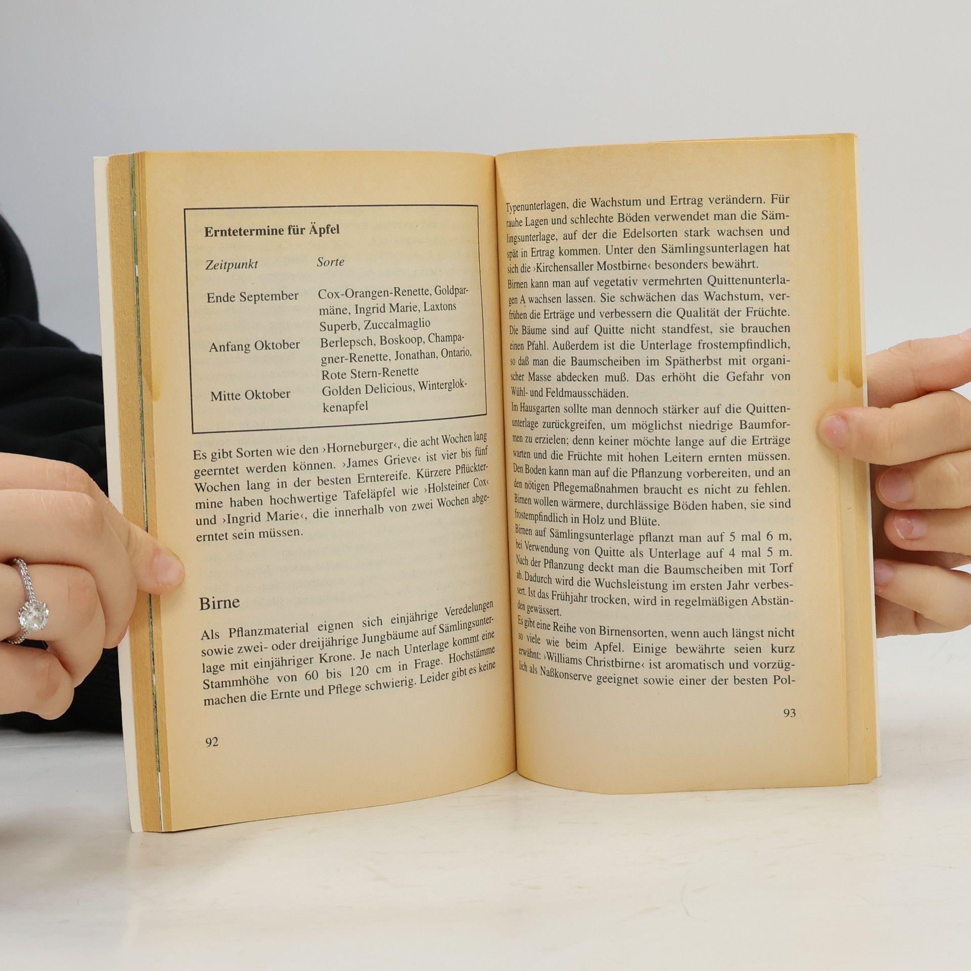 Autorenkollektiv Obstgehölze. Beerensträucher. Obsthilume Schnitt und Pflege