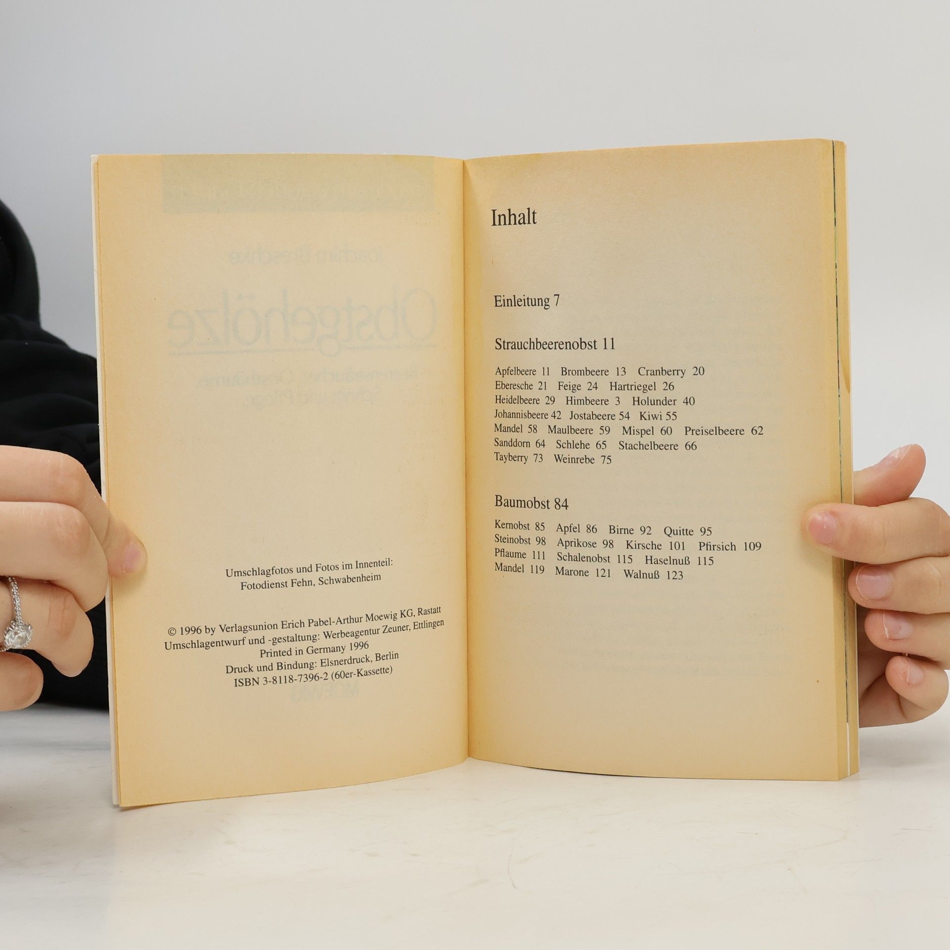 Autorenkollektiv Obstgehölze. Beerensträucher. Obsthilume Schnitt und Pflege