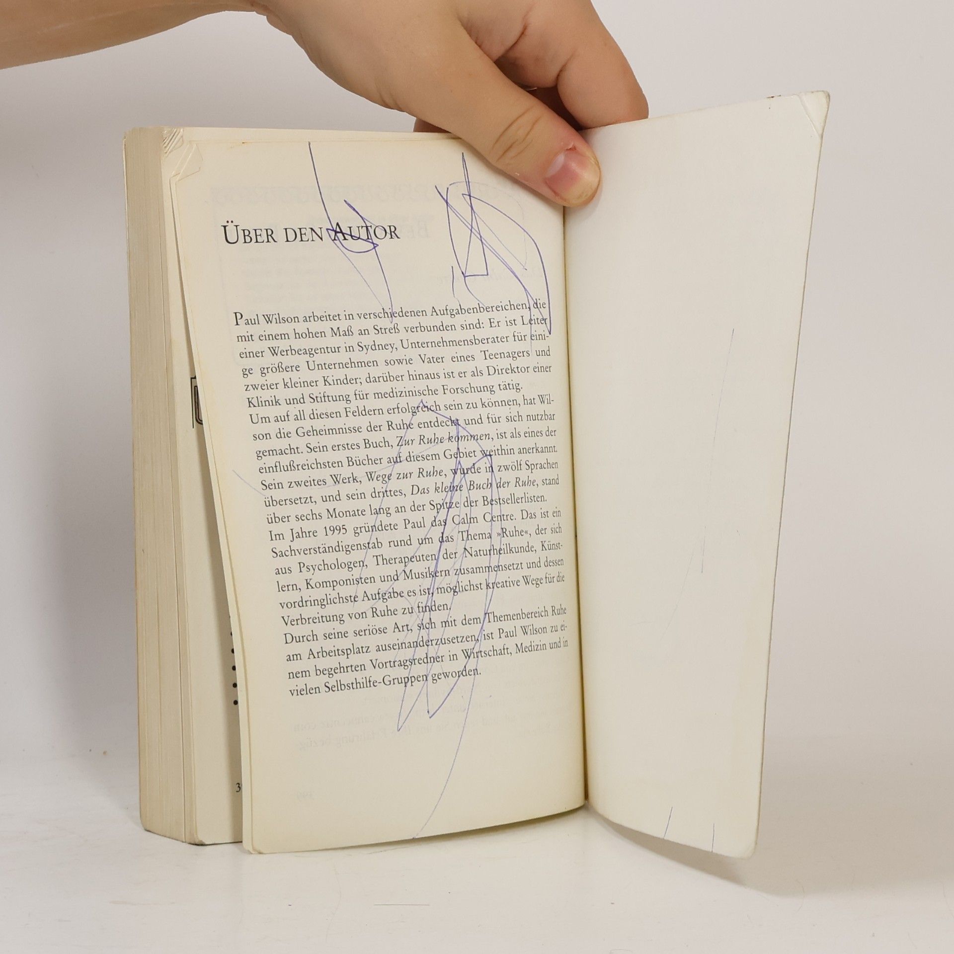Paul Wilson Das Buch Der Ruhe