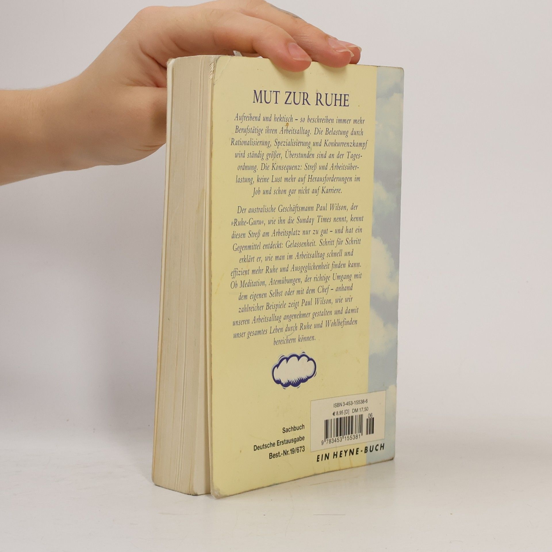 Paul Wilson Das Buch Der Ruhe