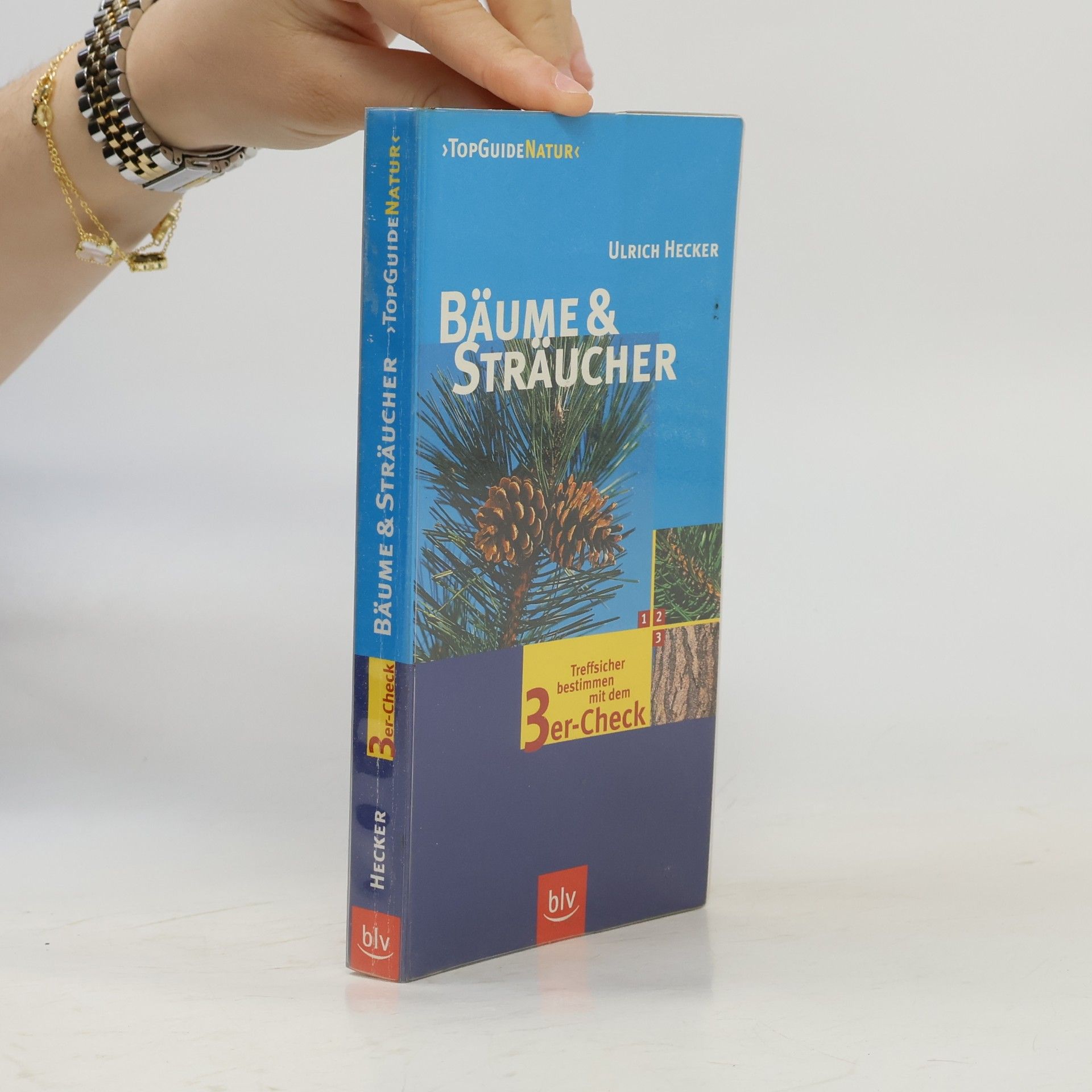 Bäume & Sträucher