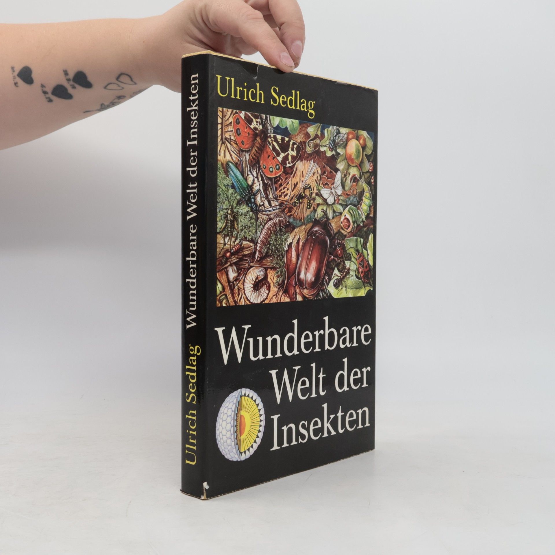 Ulrich Sedlag Wunderbare Welt der Insekten