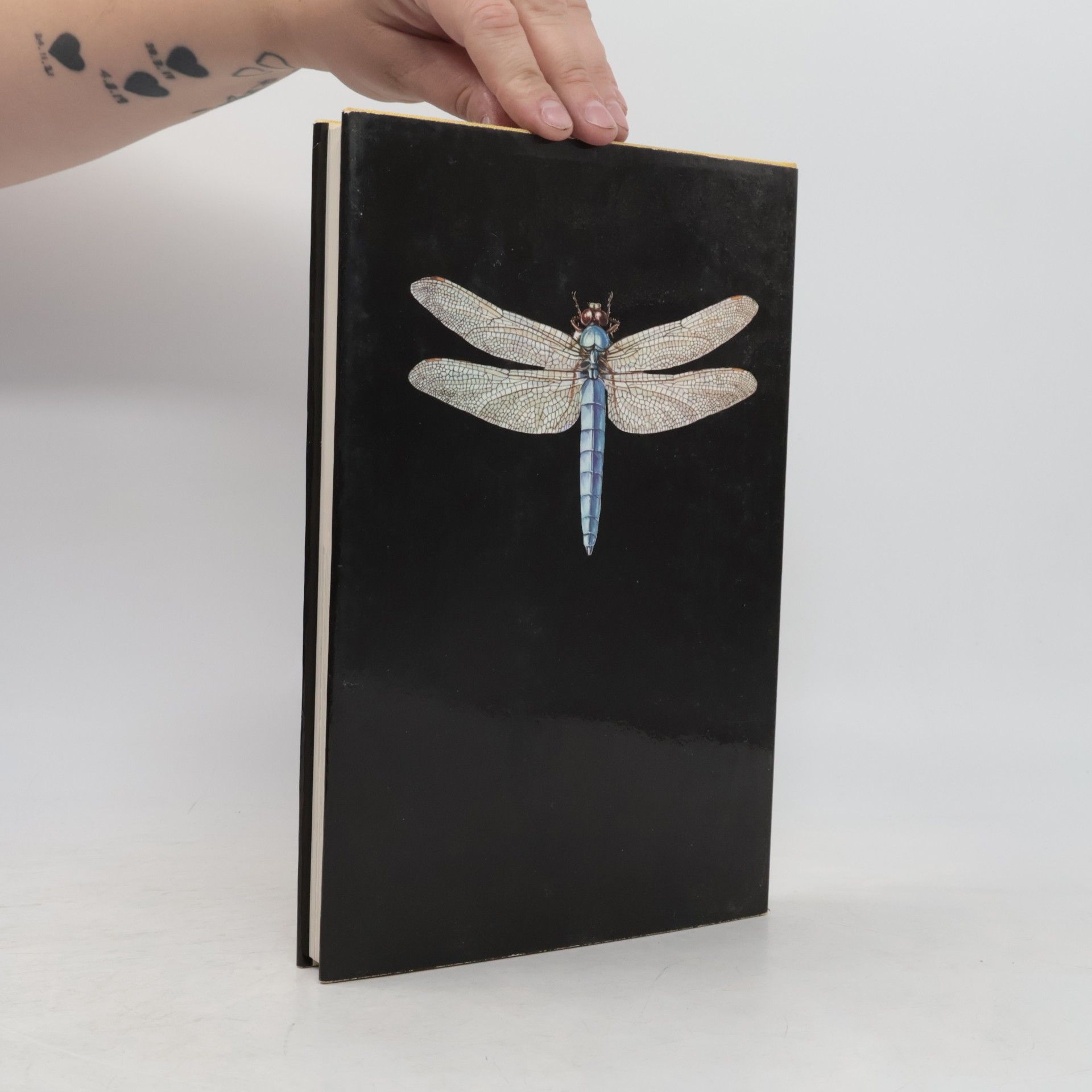 Ulrich Sedlag Wunderbare Welt der Insekten