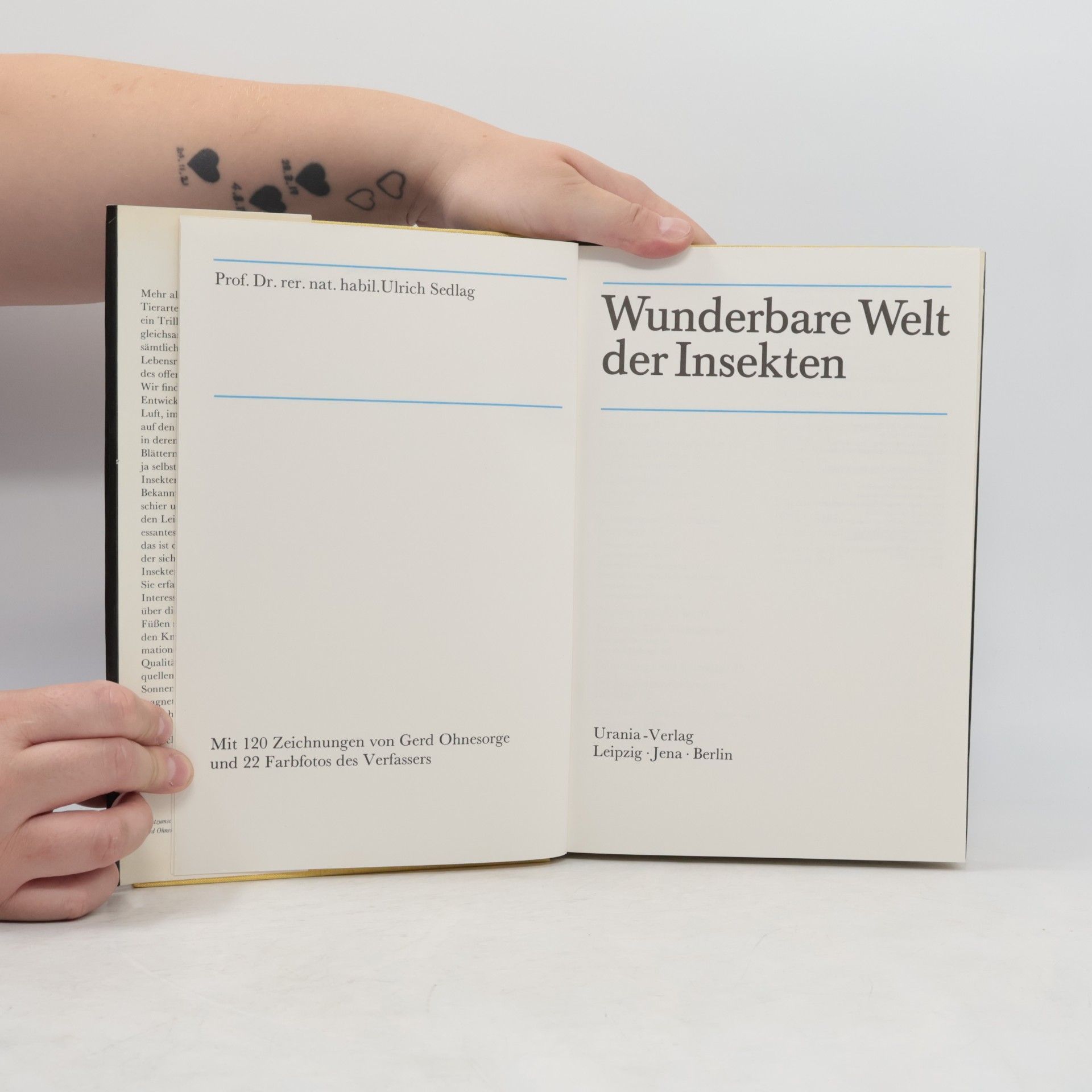 Ulrich Sedlag Wunderbare Welt der Insekten