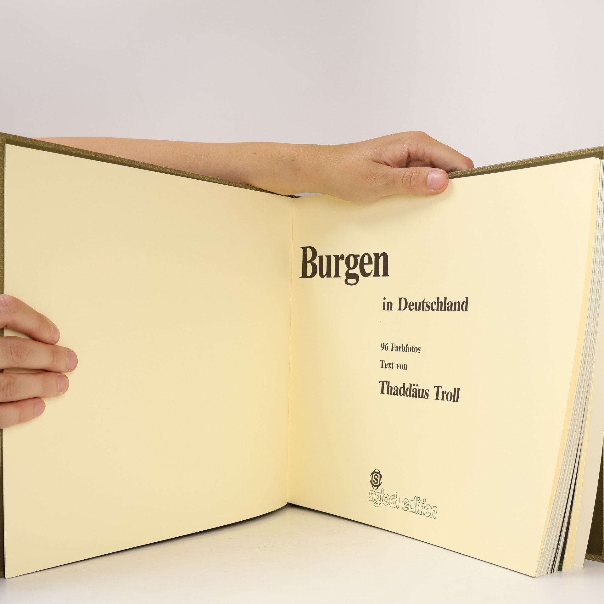 Thaddäus Troll Burgen in Deutschland