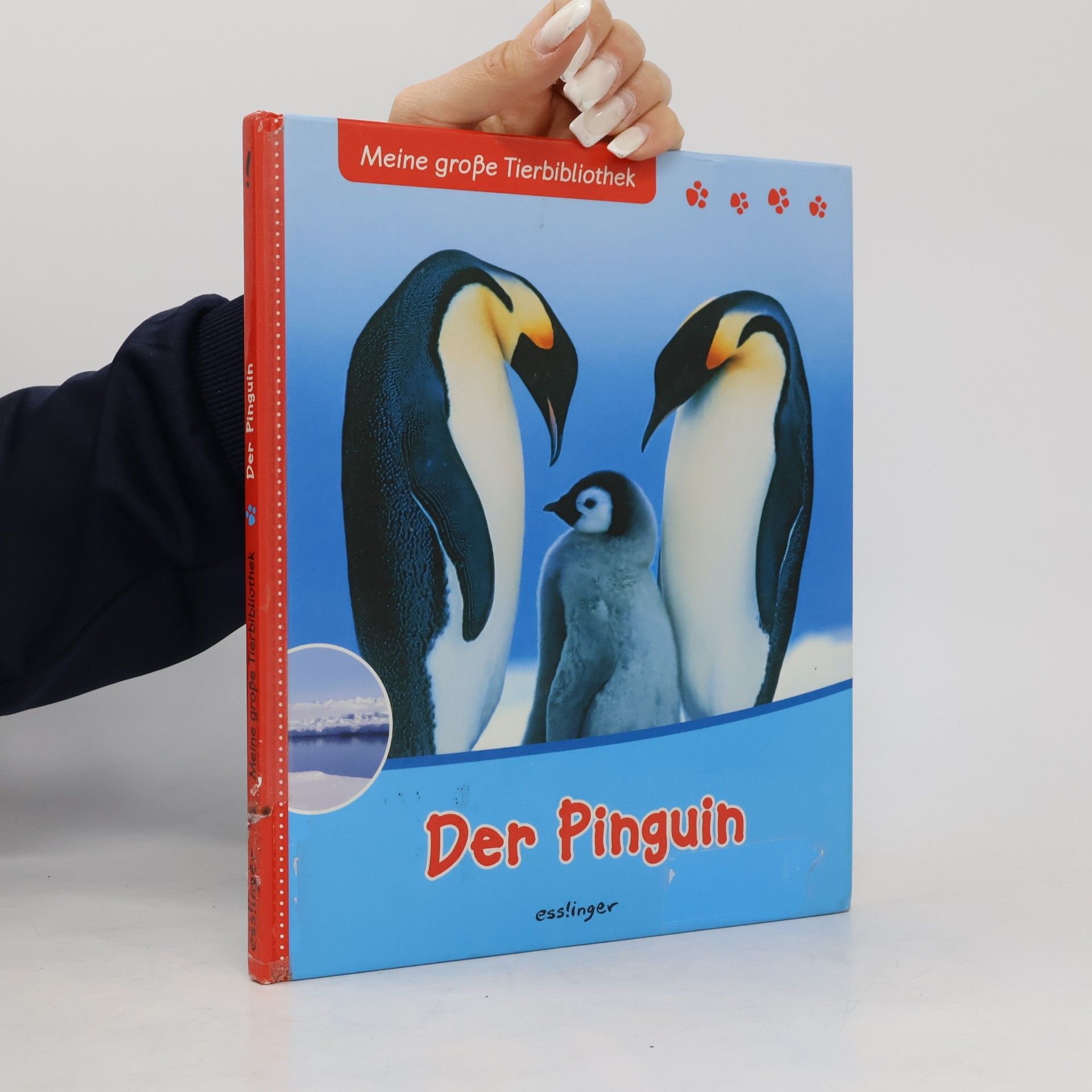 Valérie Tracqui Meine große Tierbibliothek: Der Pinguin