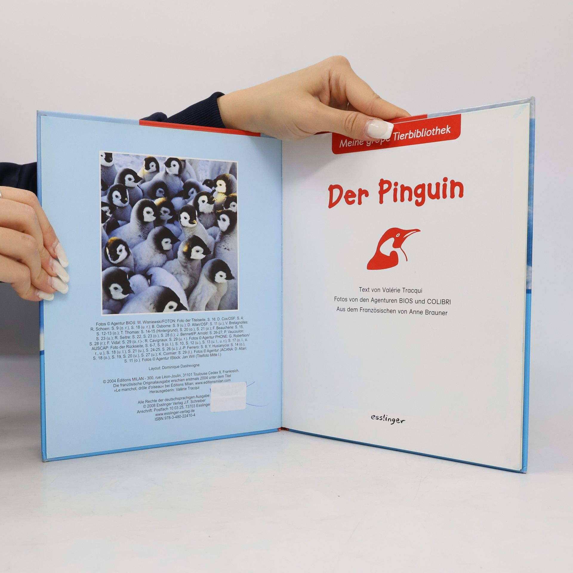 Anne Brauner Meine große Tierbibliothek: Der Pinguin