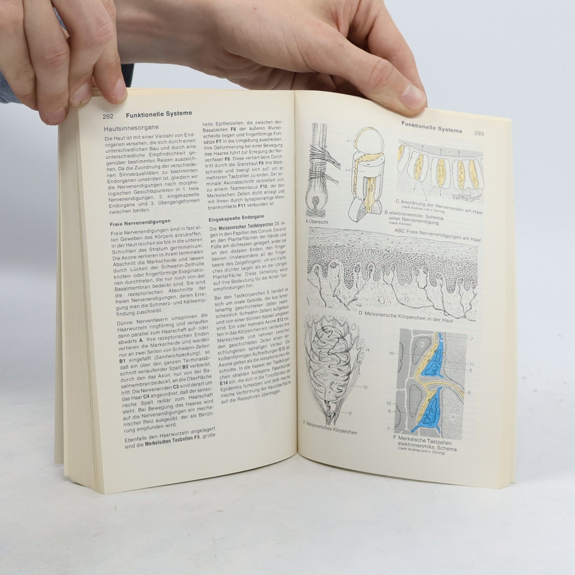 Werner Kahle Taschenatlas der Anatomie 3.Nervensystem und Sinnesorgane