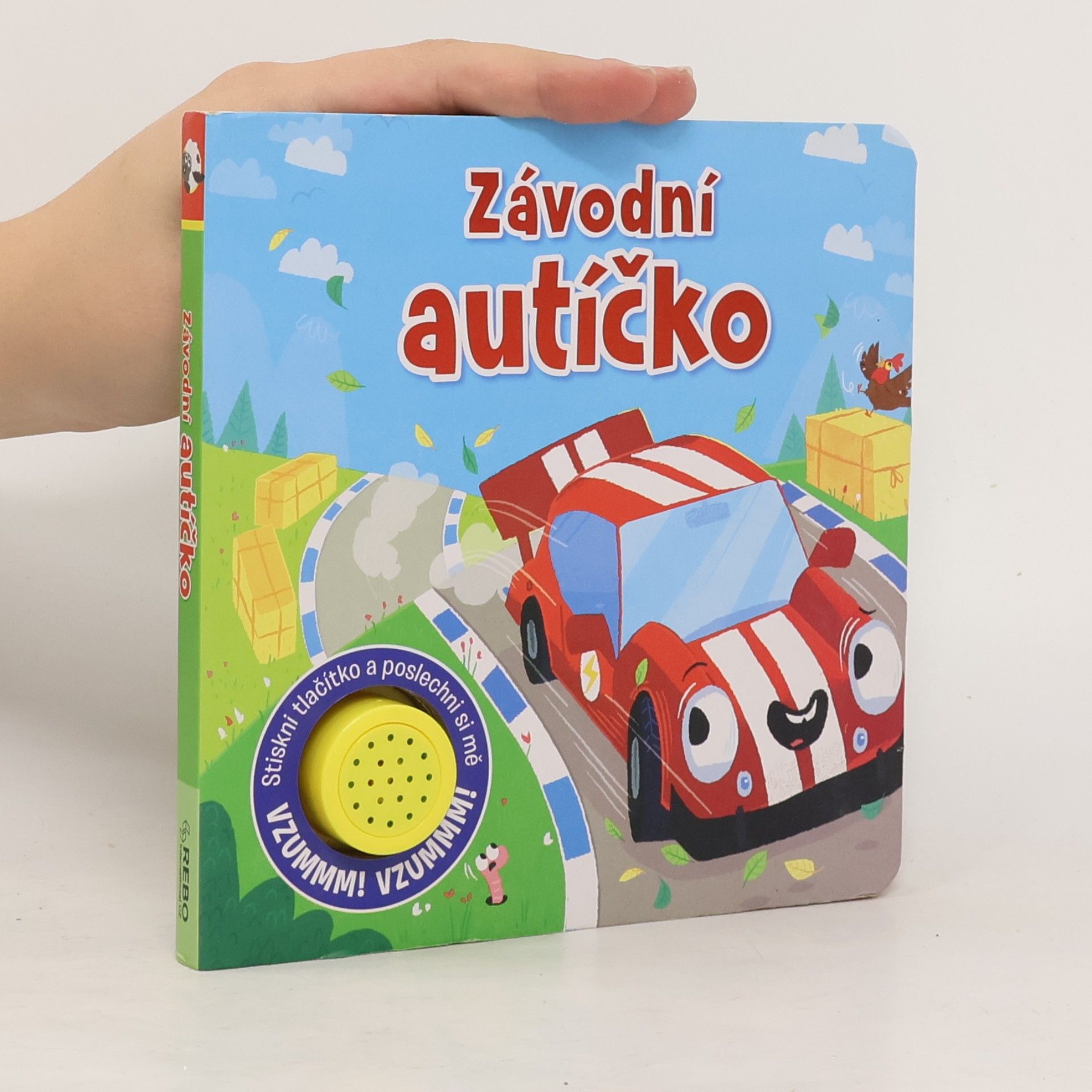 Anna Řebíčková Závodní autíčko