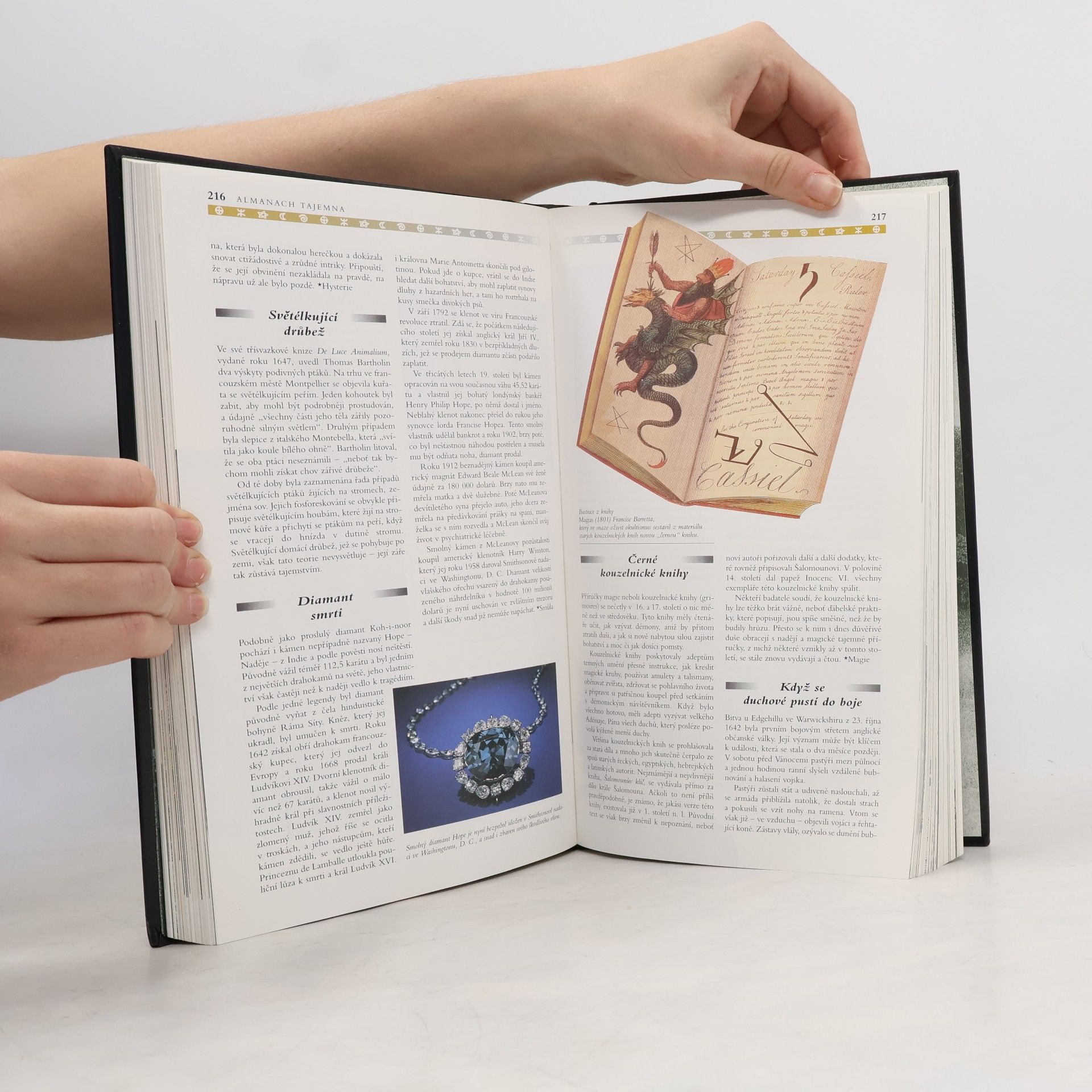 Autorenkollektiv Almanach tajemna