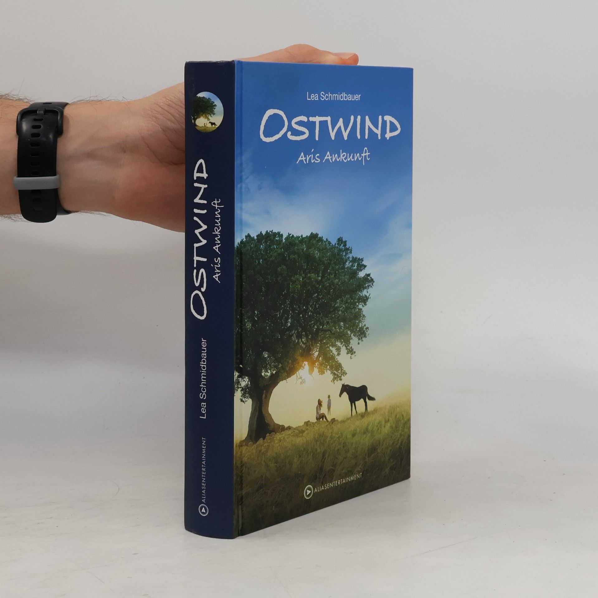 Ostwind - Arís Ankunft