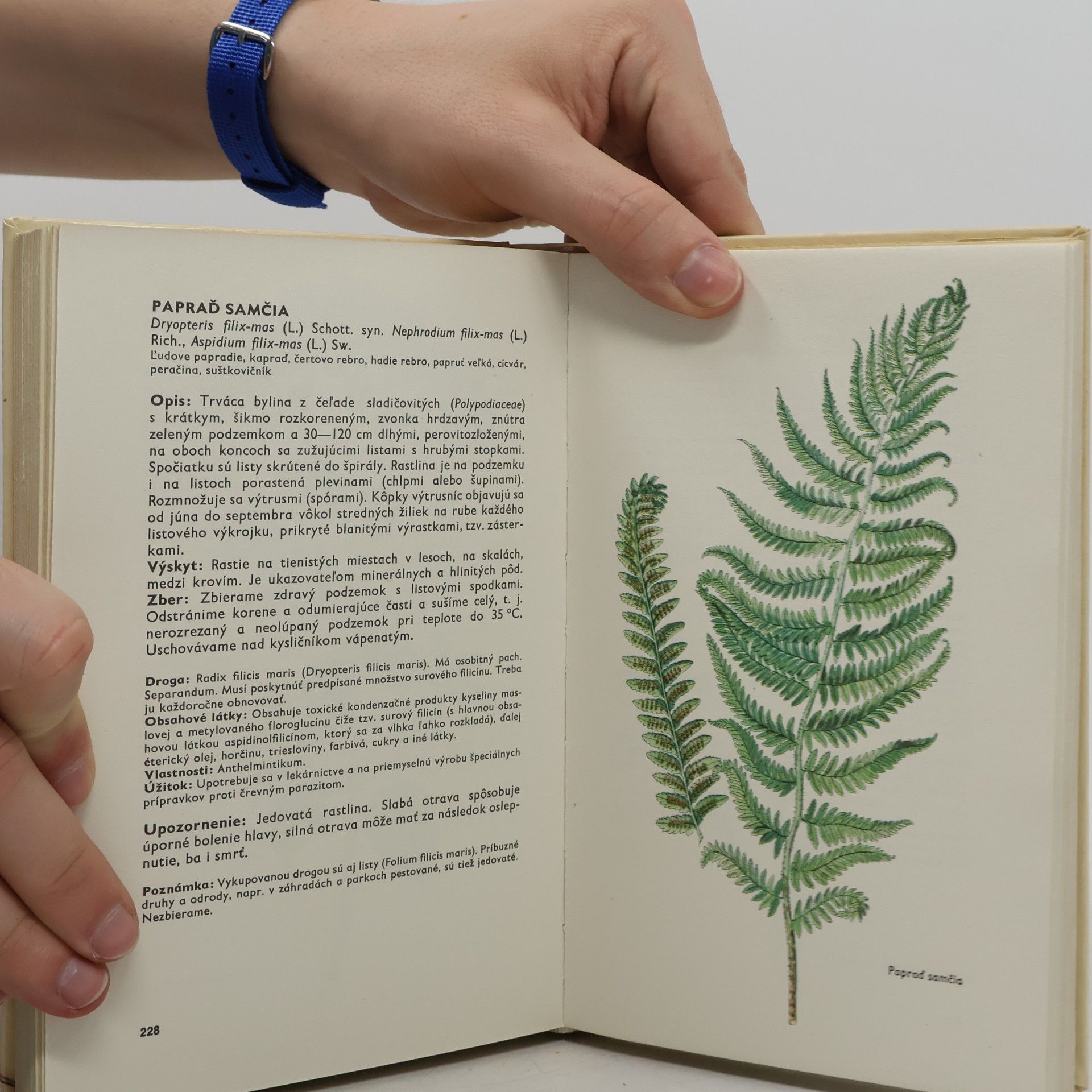 Ludmila Thurzová Malý atlas liečivých rastlín