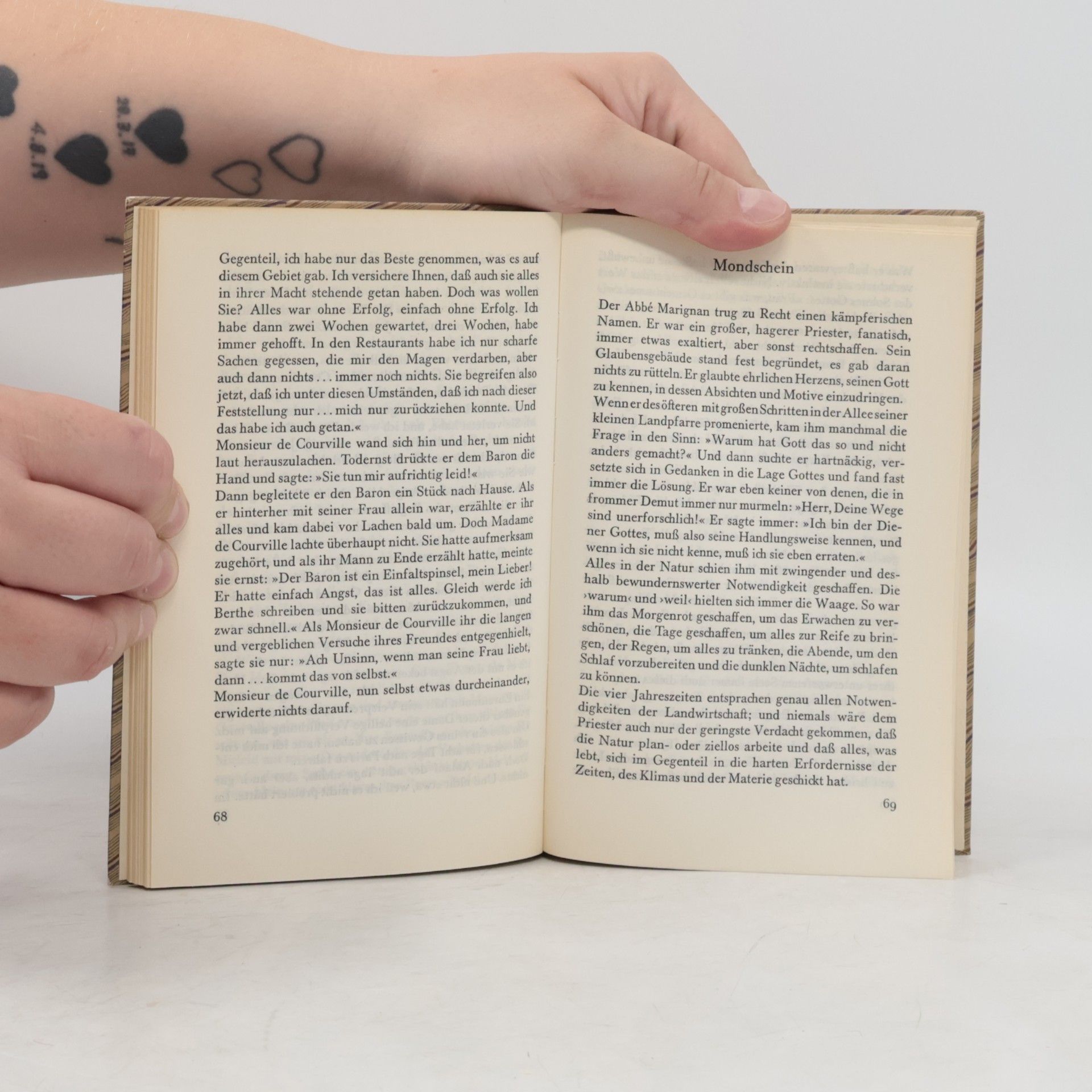 Guy de Maupassant Mademoiselle Fifi und andere Novellen