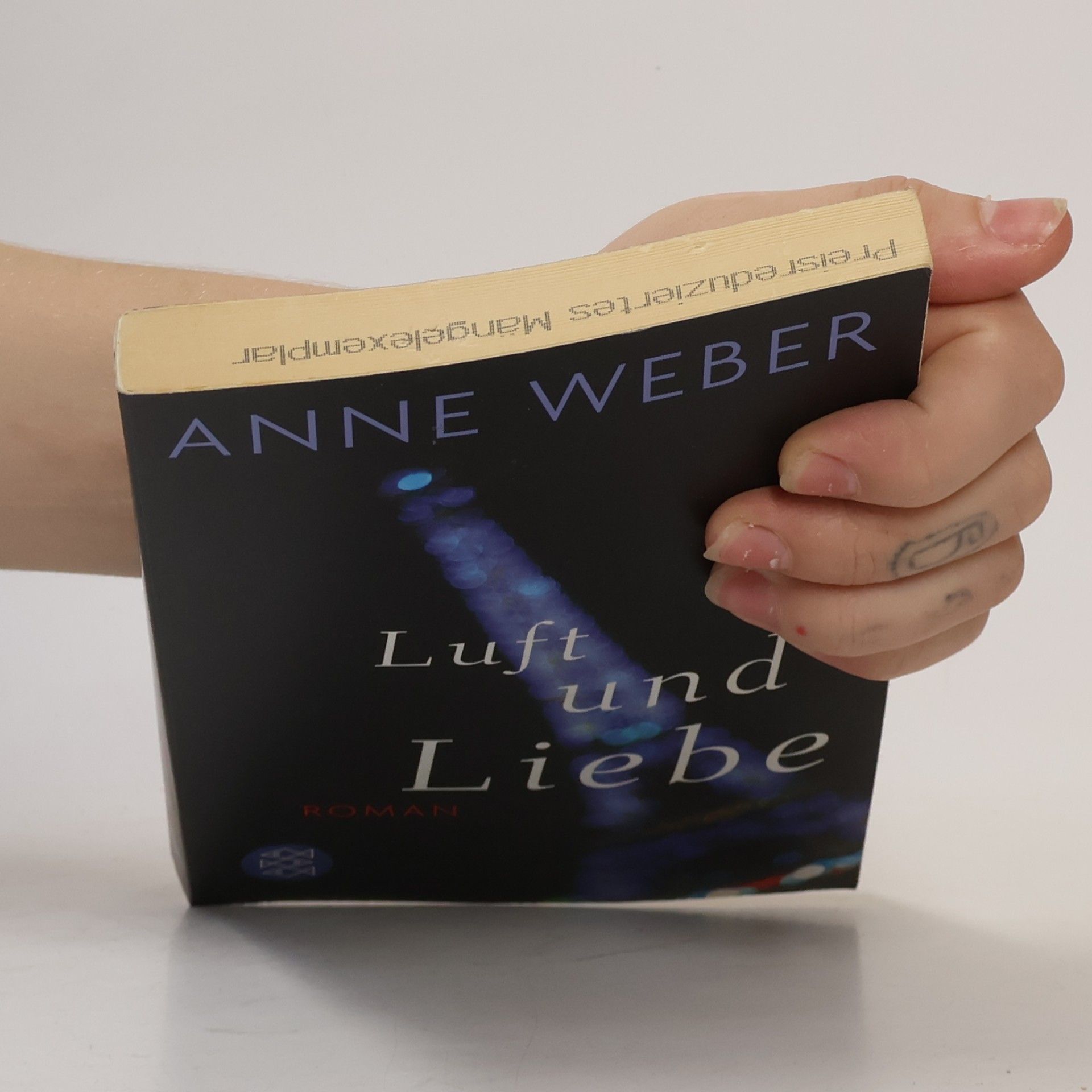 Anne Weber Luft und Liebe