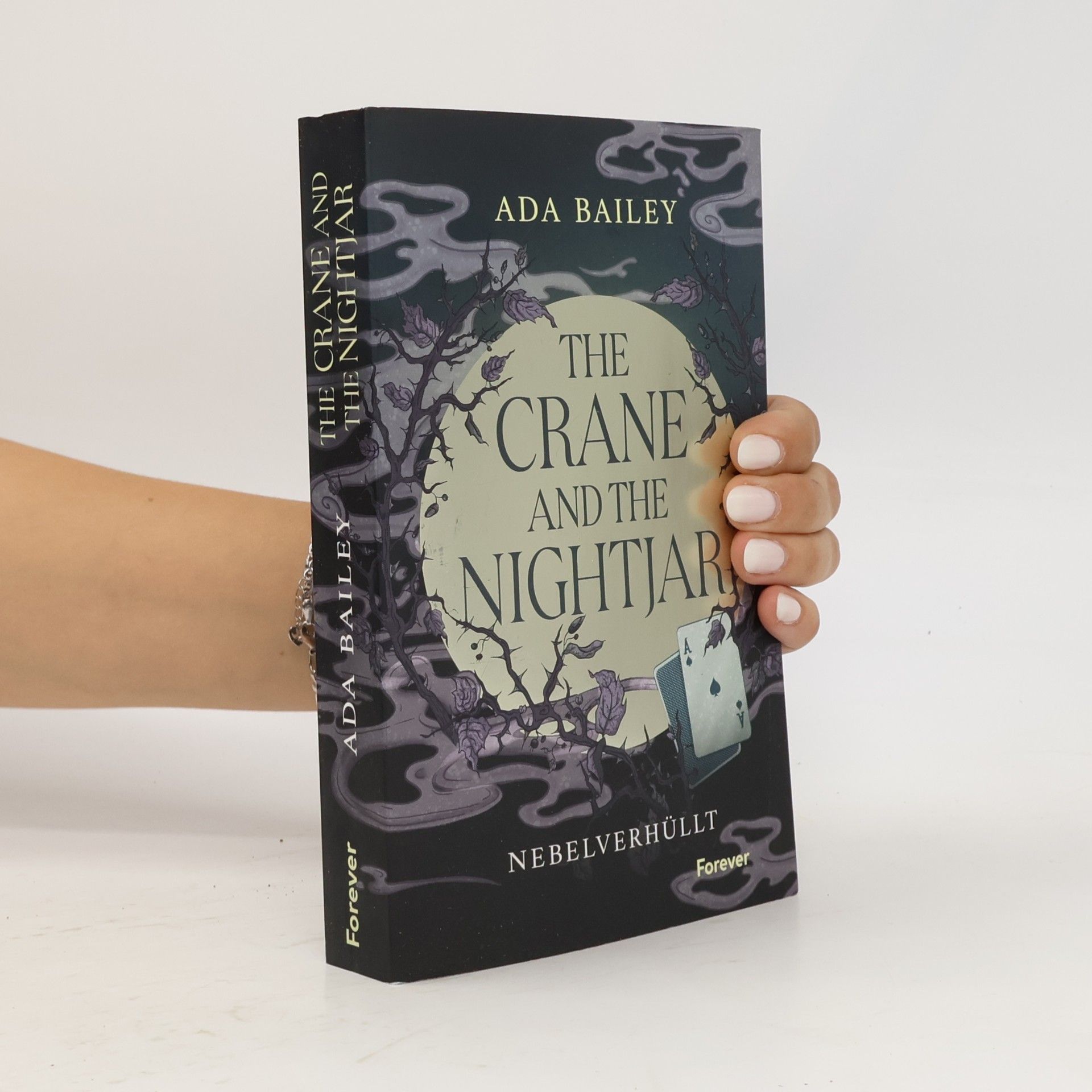 Ada Bailey The Crane and the Nightjar