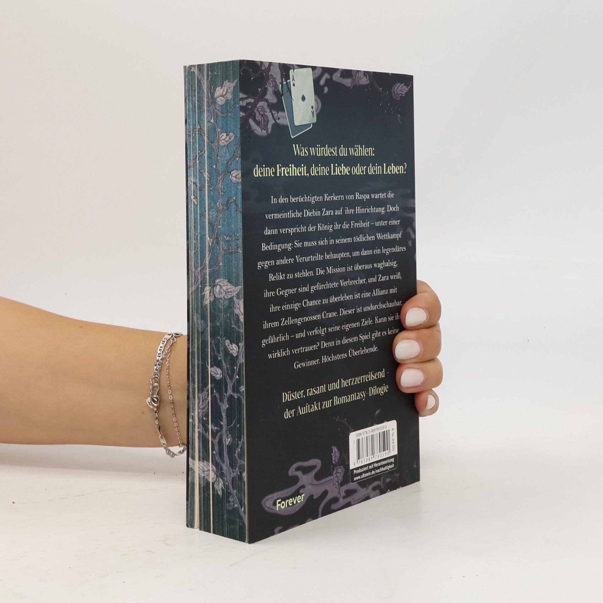 Ada Bailey The Crane and the Nightjar