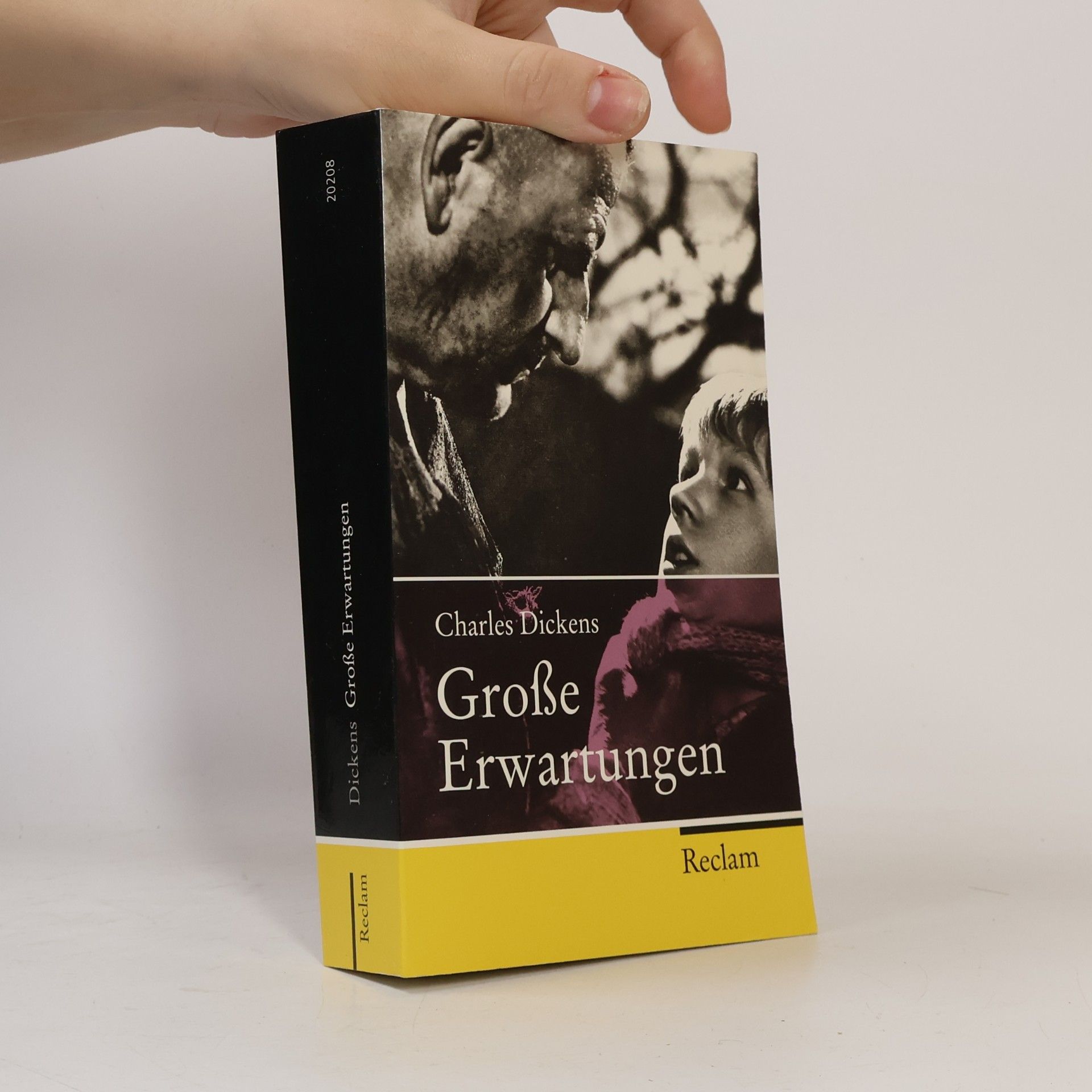 Charles Dickens Grosse Erwartungen