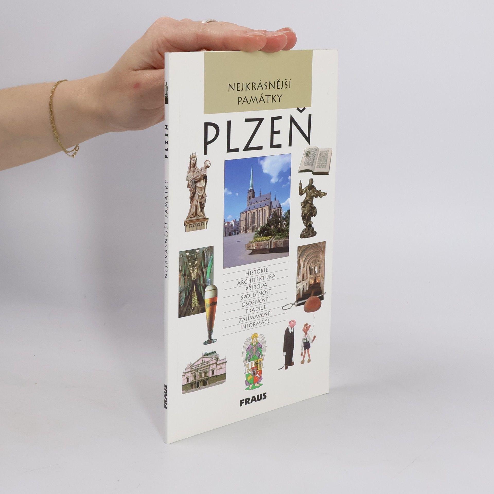 Autorenkollektiv Nejkrásnější památky Plzeň
