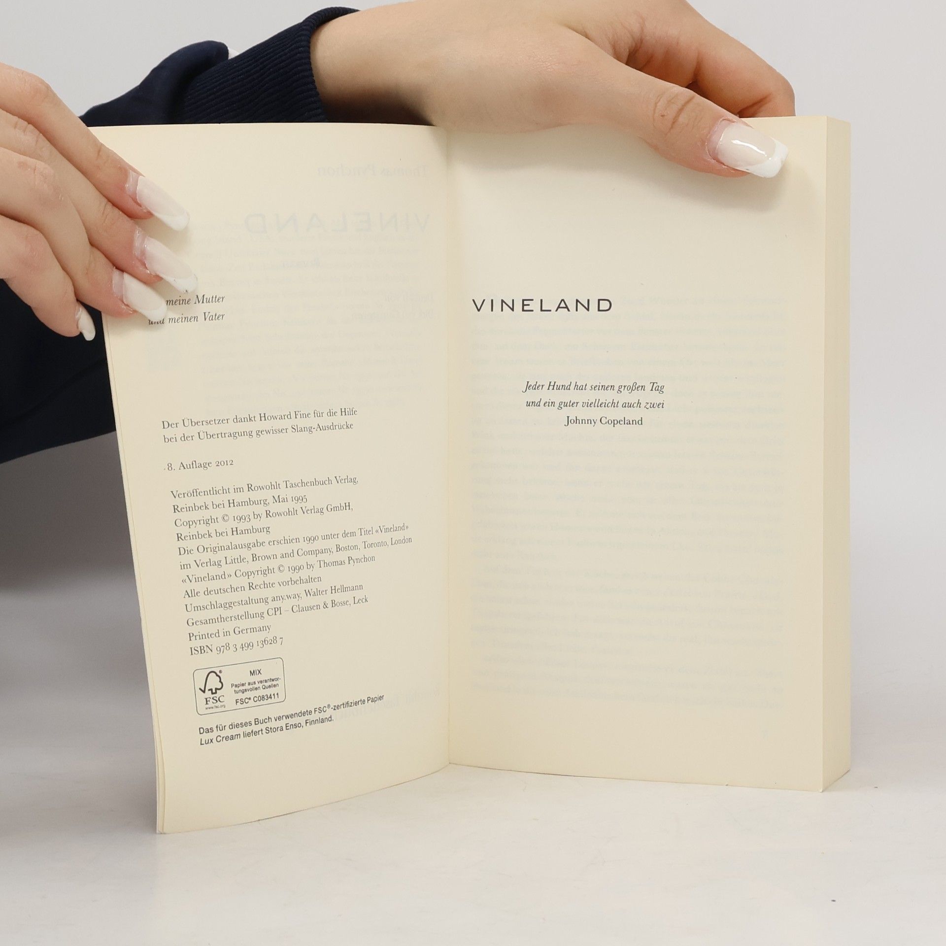 Thomas Pynchon Vineland