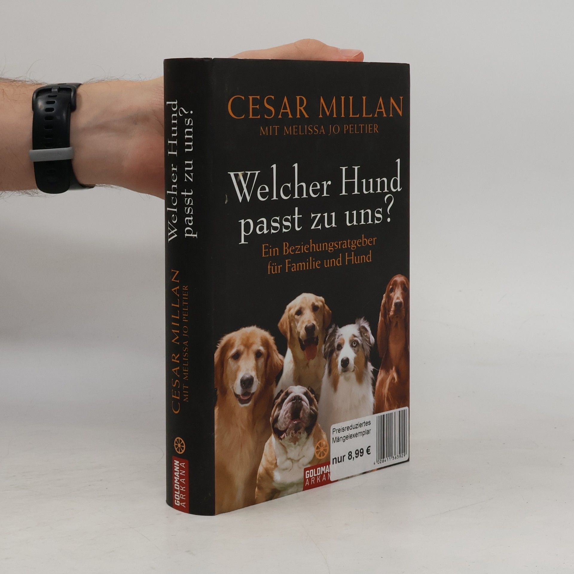 Welcher Hund passt zu uns?