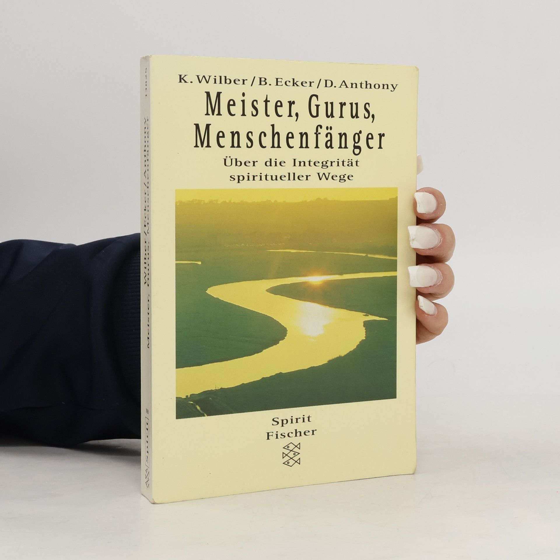 Ken Wilber Meister, Gurus, Menschenfänger