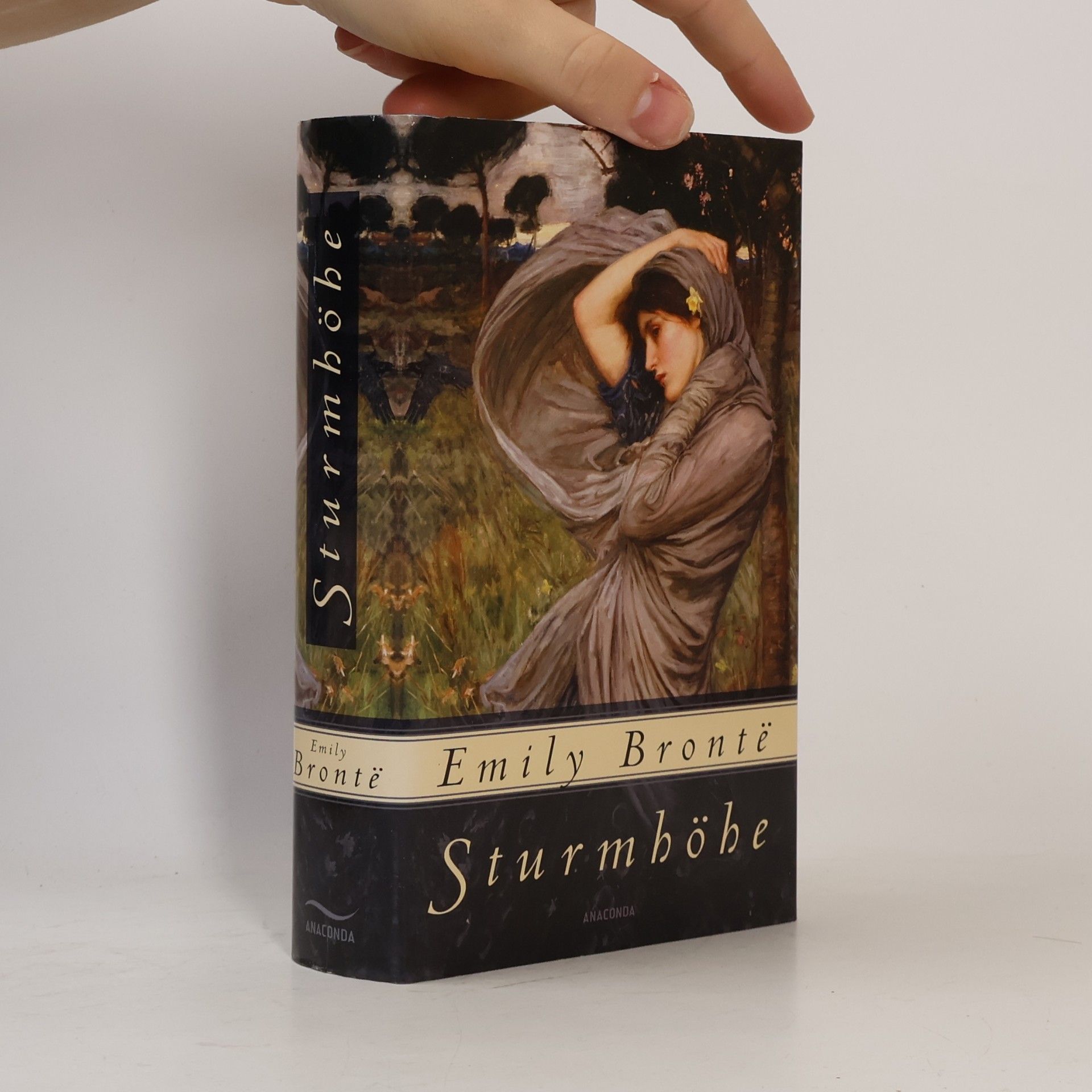 Emily Brontë Sturmhöhe
