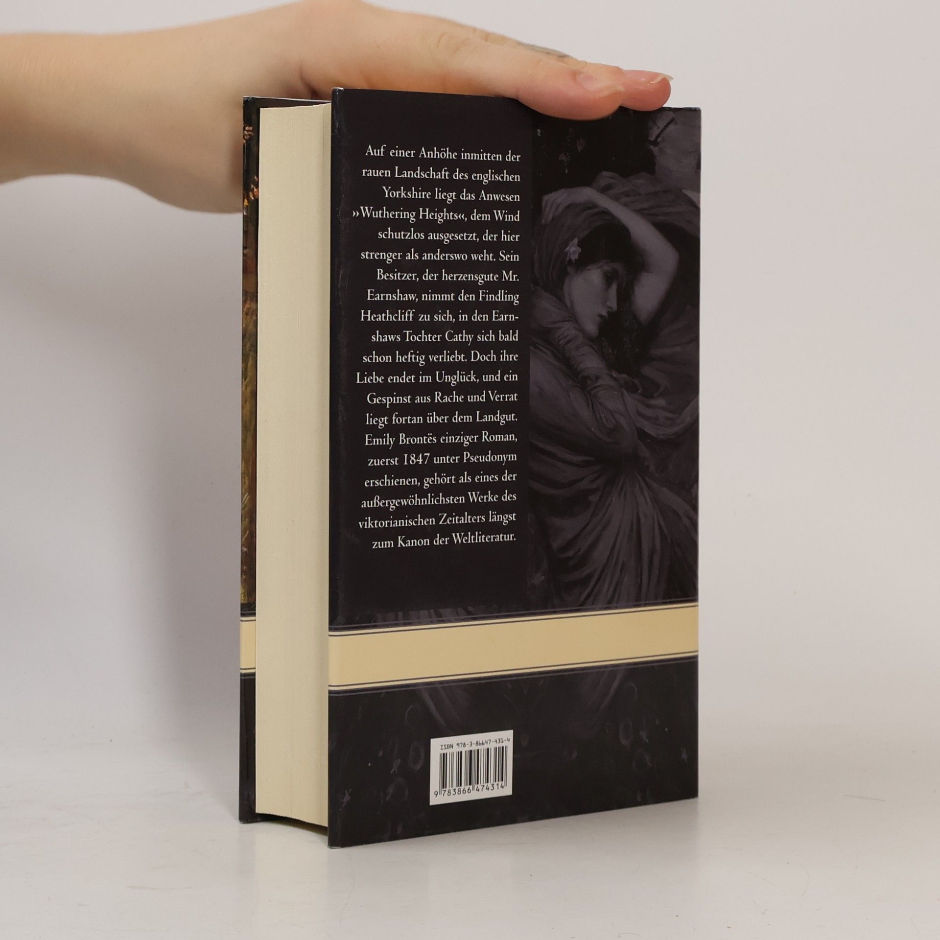 Emily Brontë Sturmhöhe